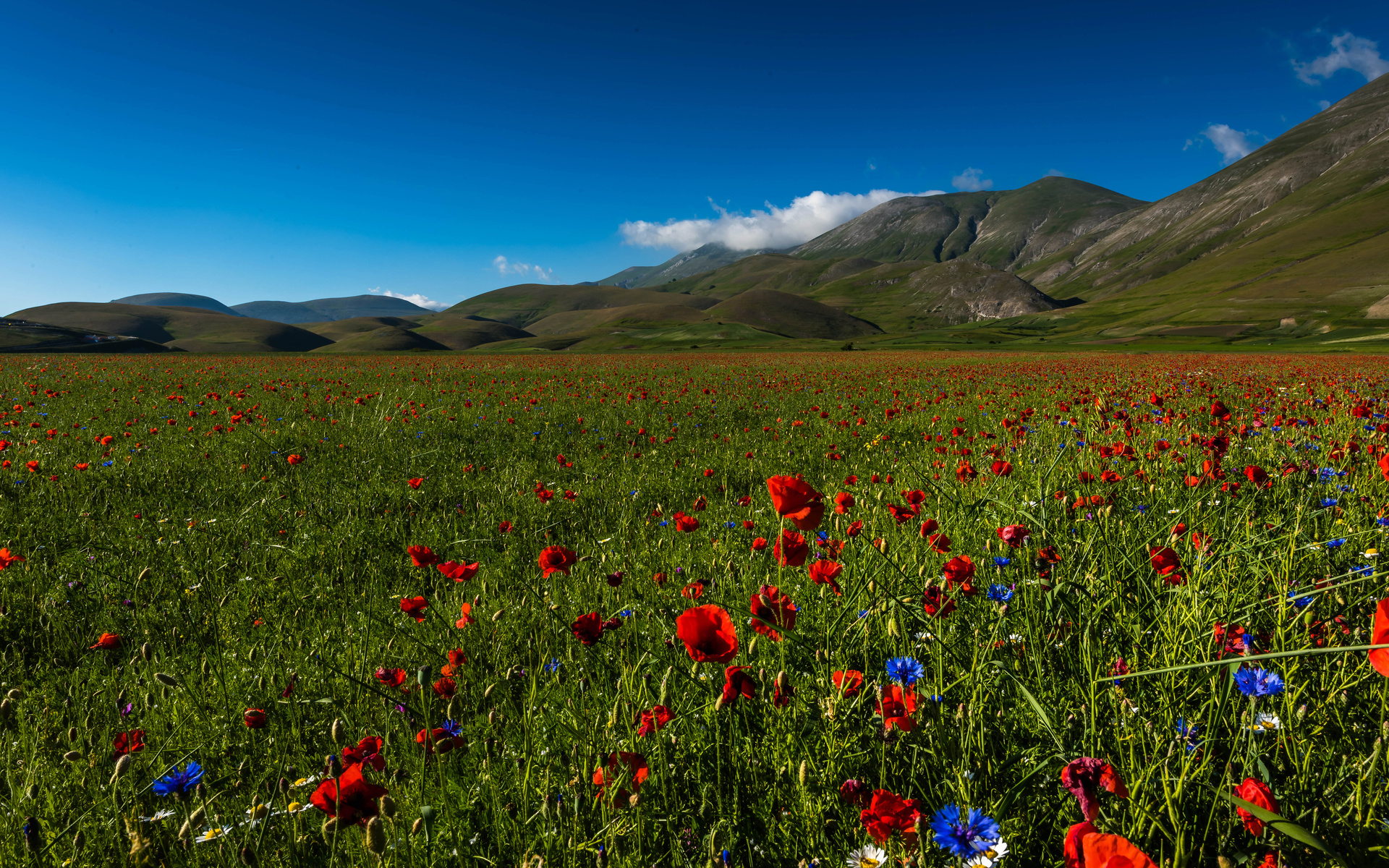 , , , , sibillini national park, , 