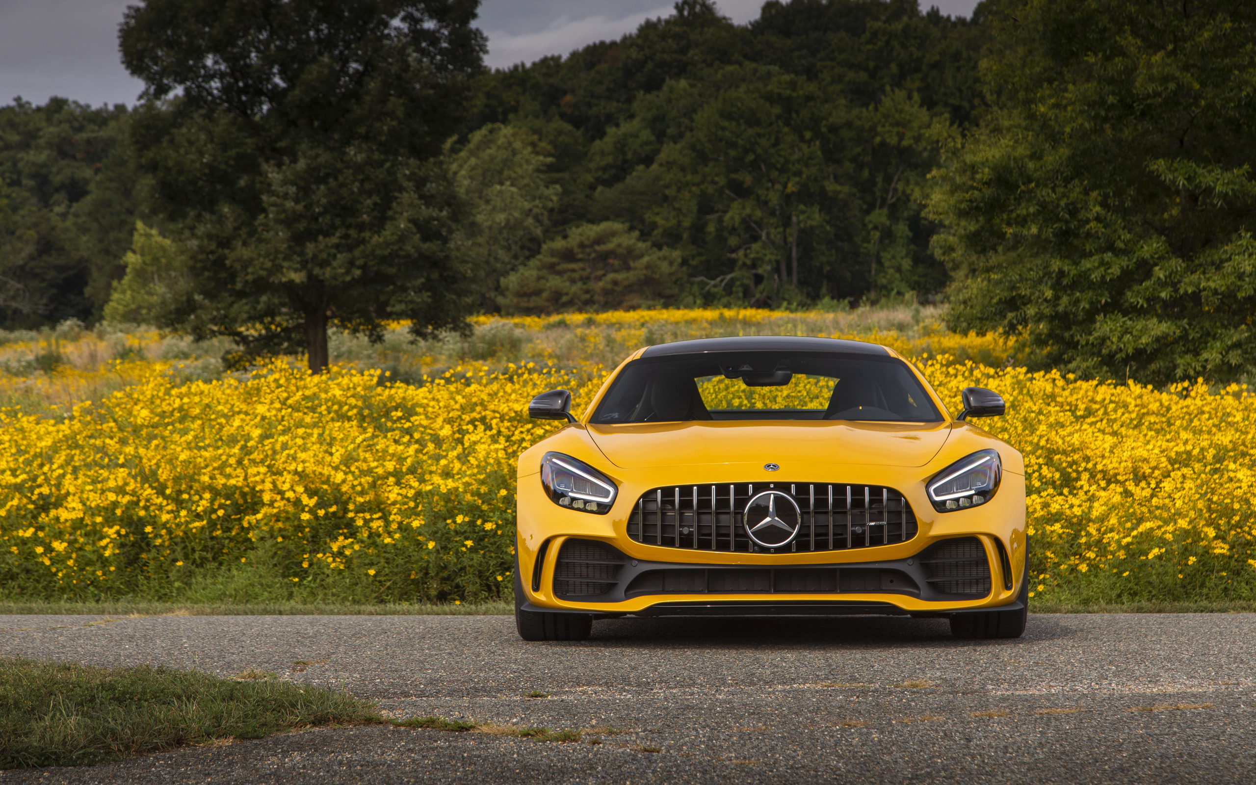 mercedes, amg, gt r