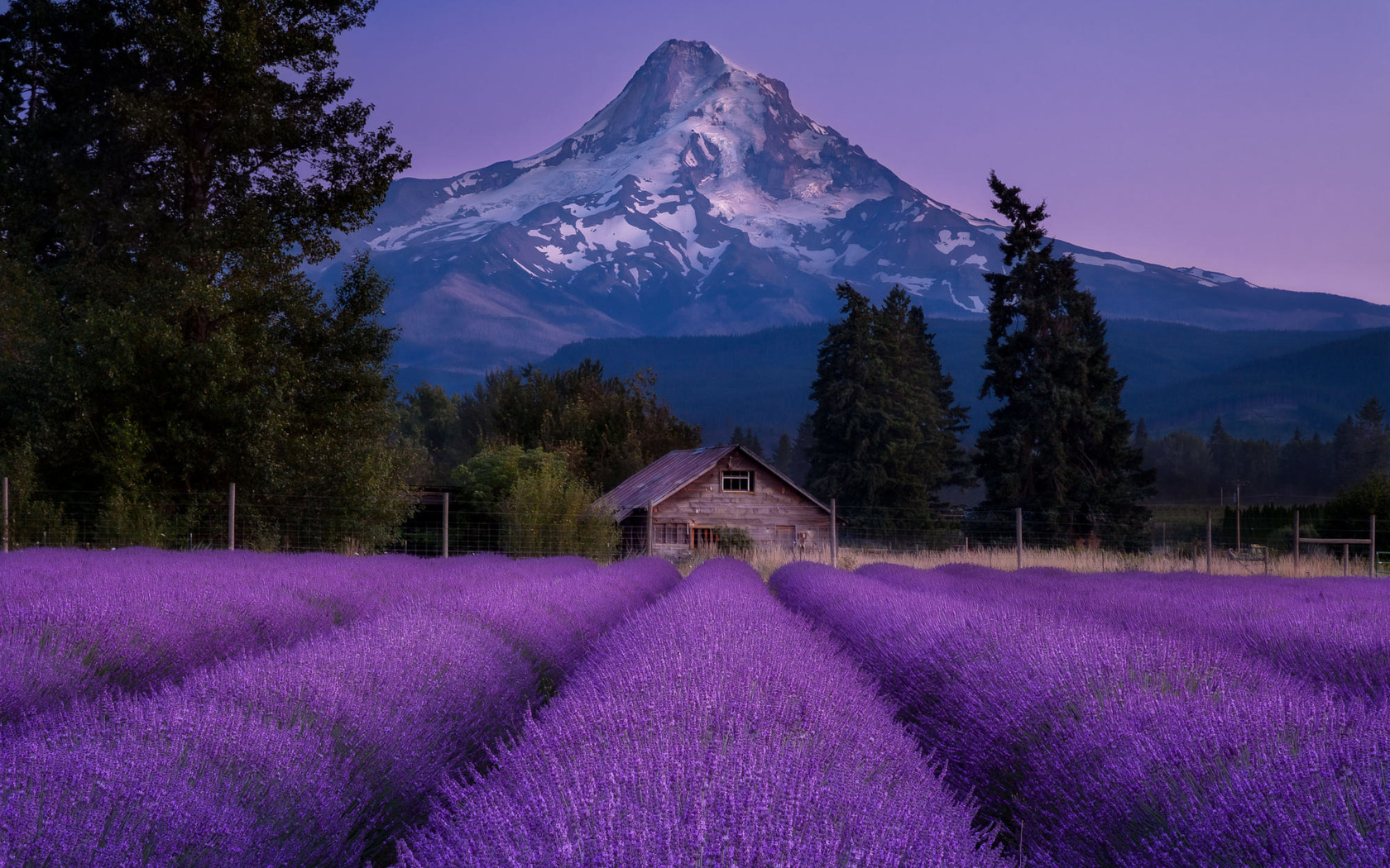 , , , , , , , , , doug shearer , , , , , doug shearer