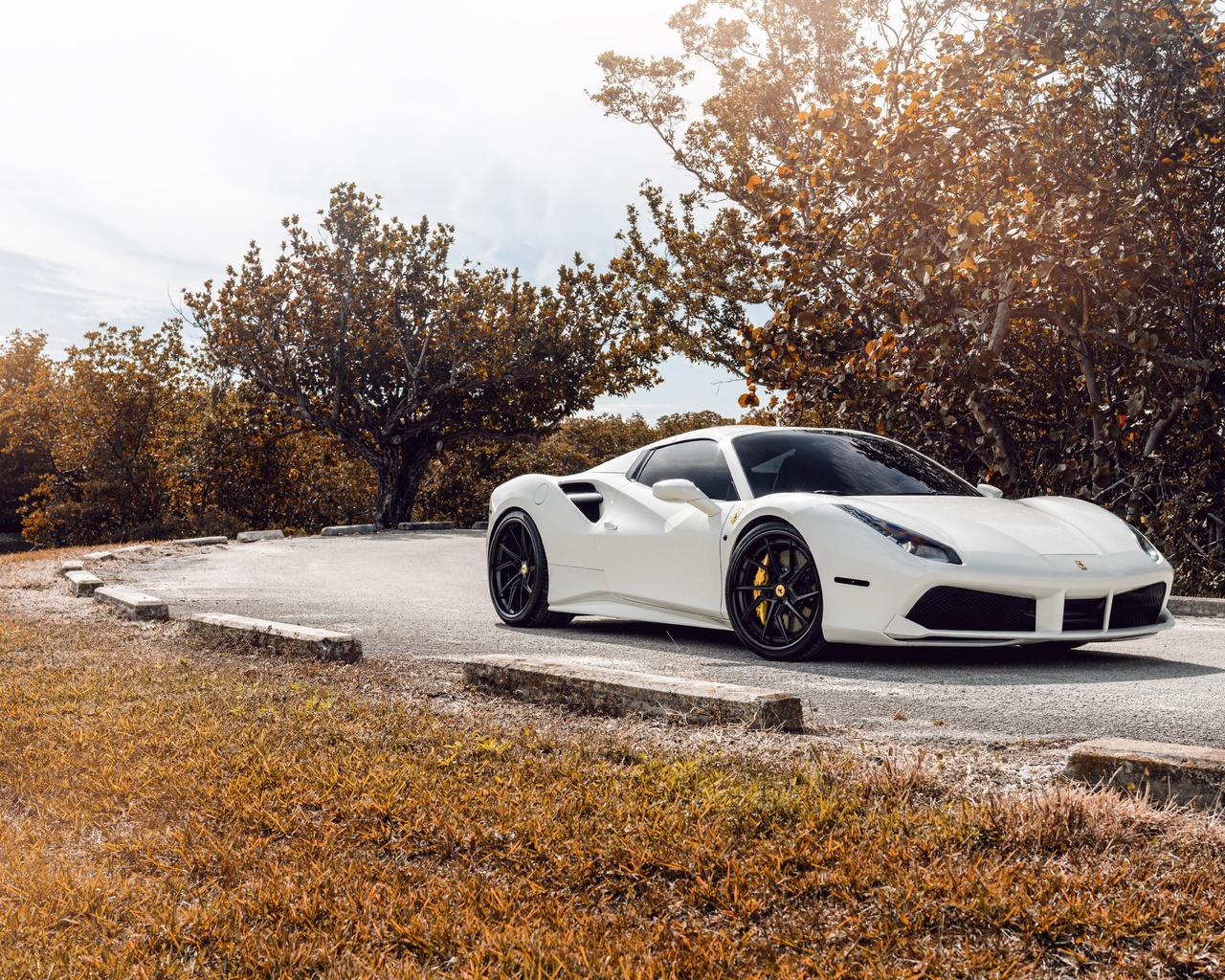 white, ferrari, 488