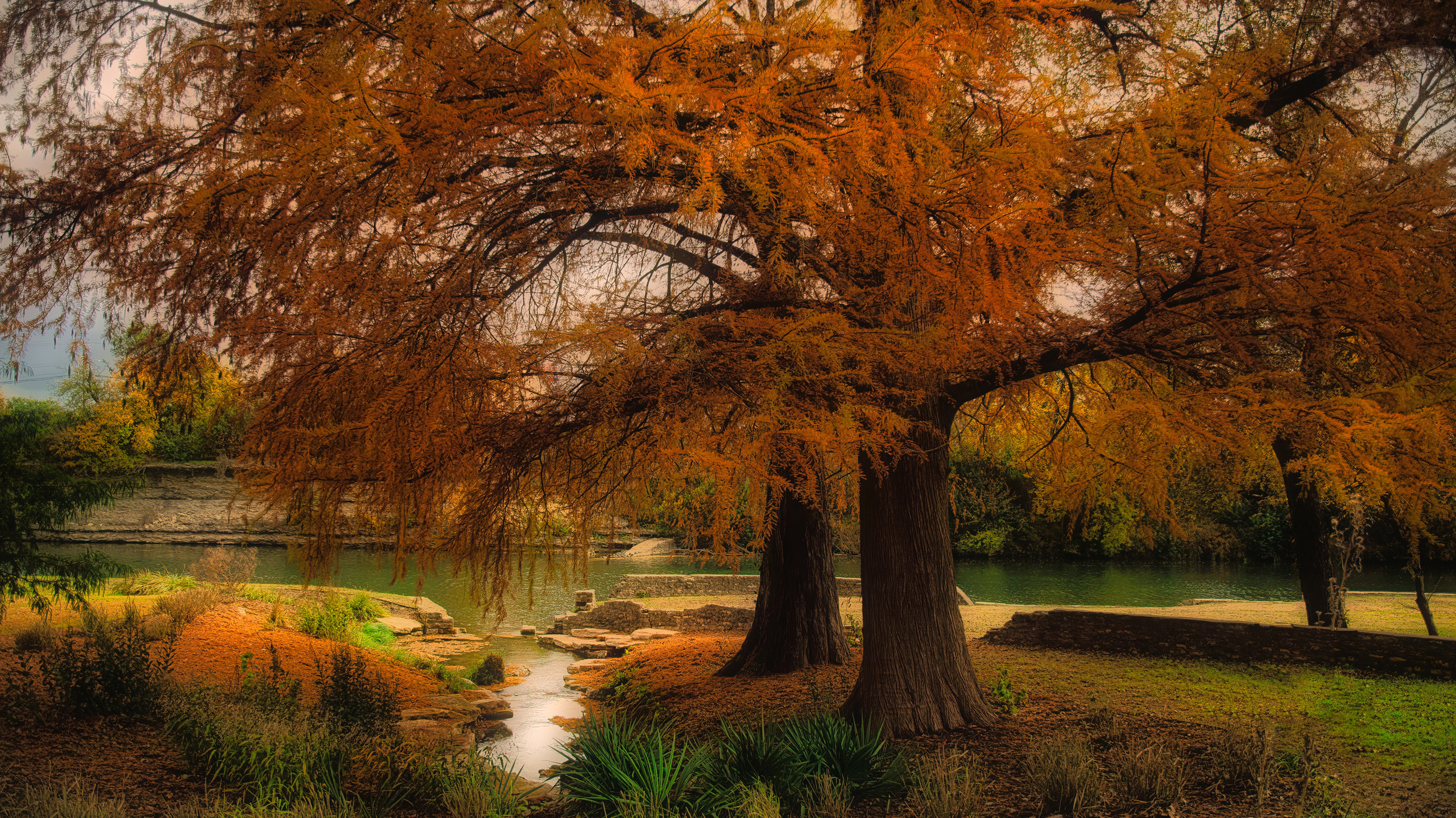 осень, река, austin, техас, деревья, природа