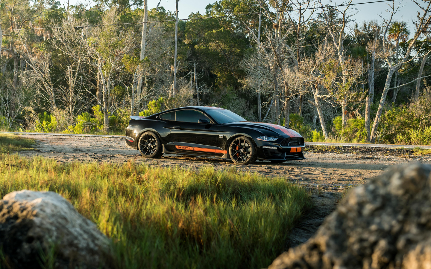 ford mustang, shelby, gt-s, black, sports coupe