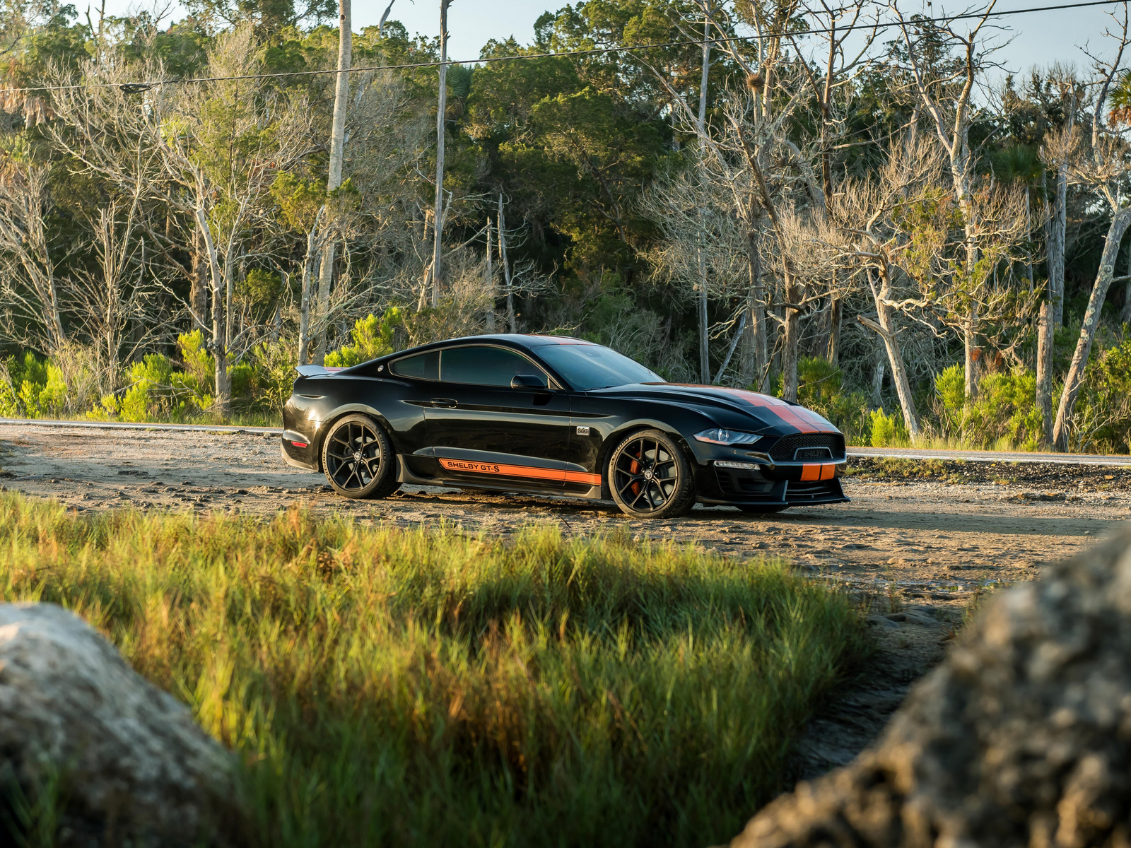 ford mustang, shelby, gt-s, black, sports coupe