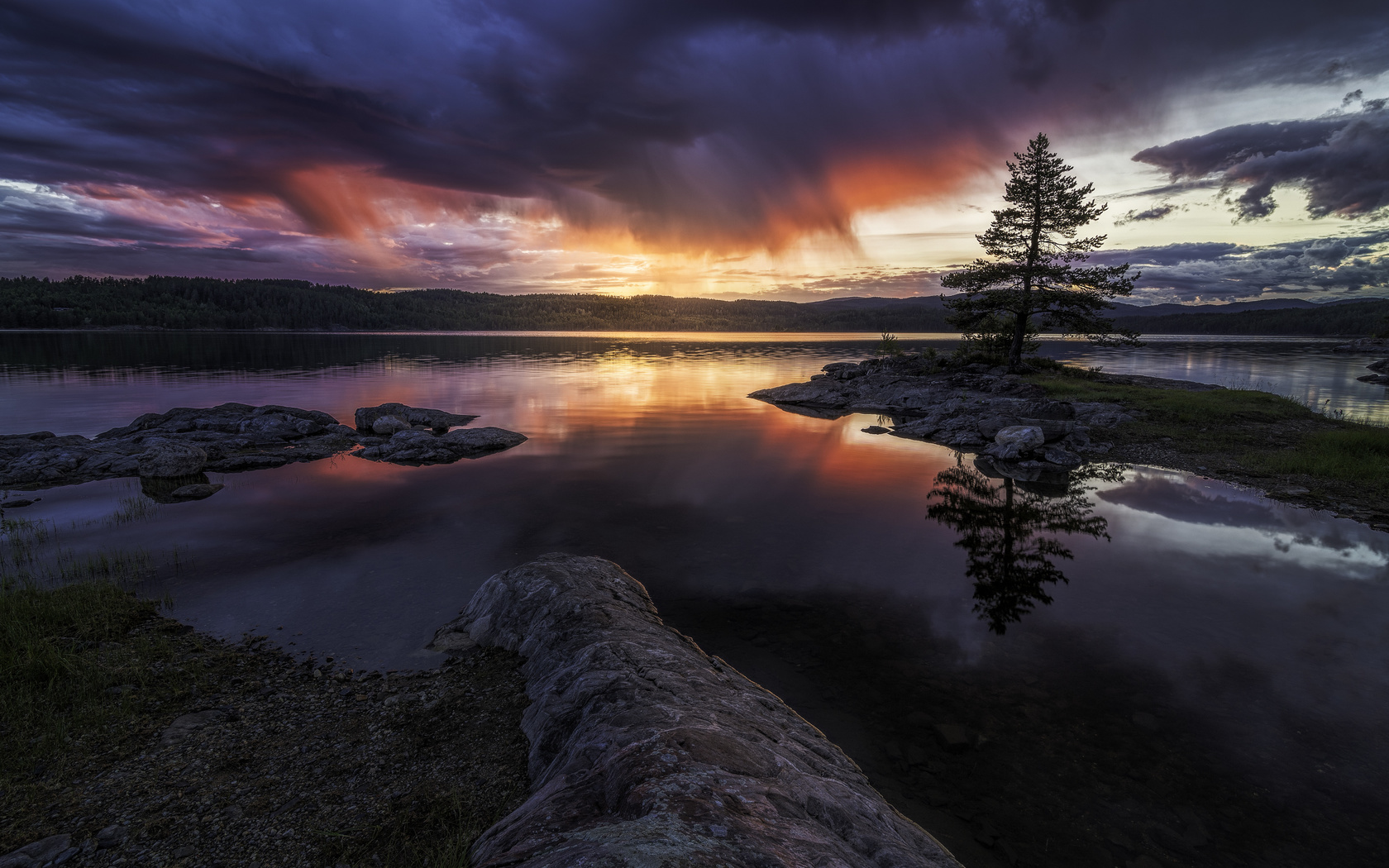 norway, tree, landscape