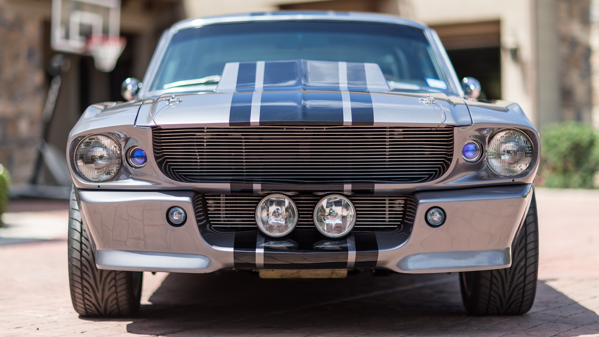 ford, mustang, shelby, gt500, eleanor,   , , 