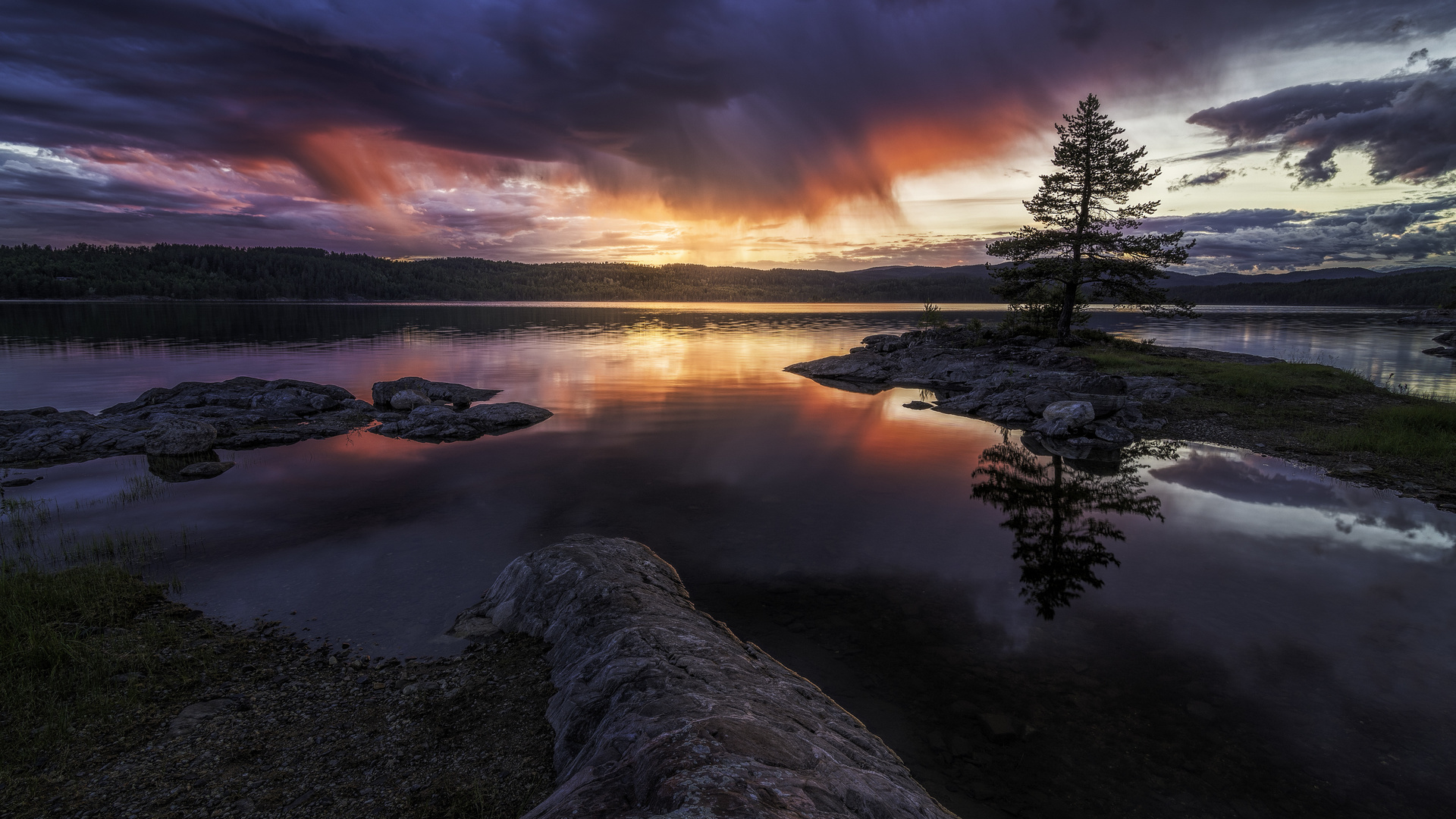 norway, tree, landscape