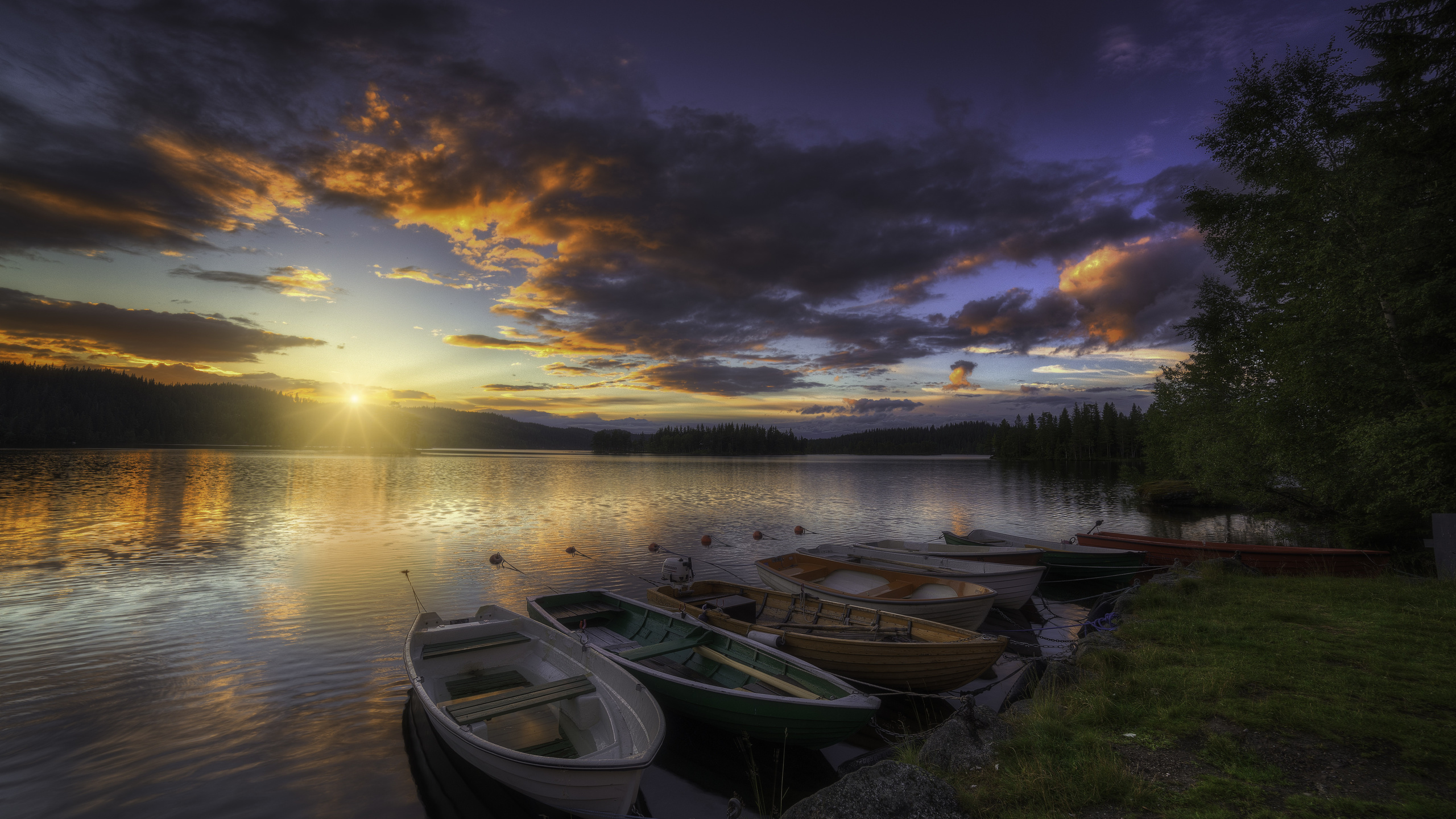 norway, tree, landscape