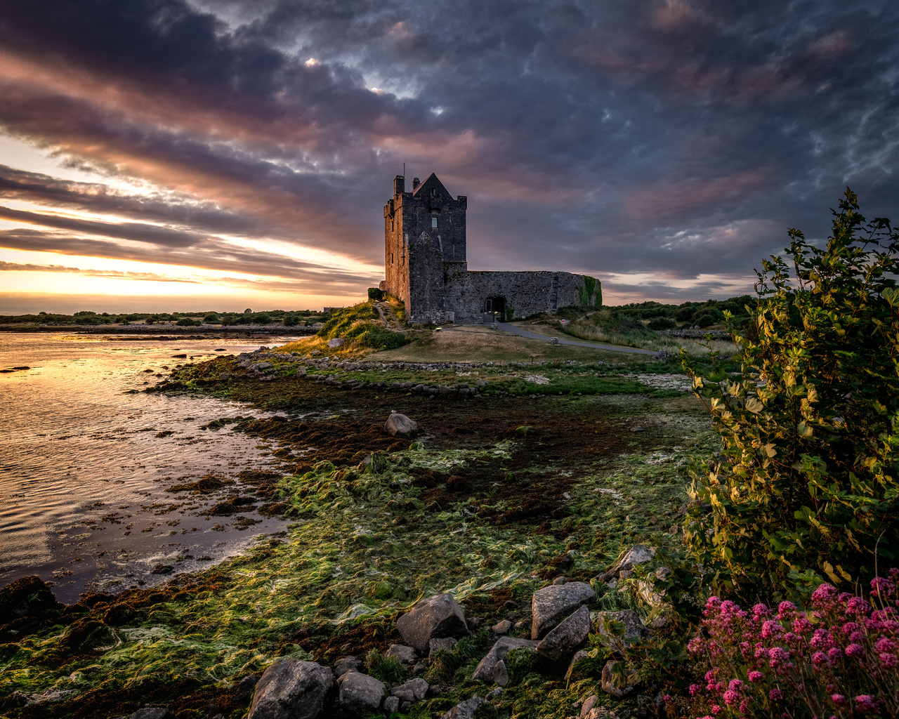 ,  , , dunguaire, castle, galway bay, , 