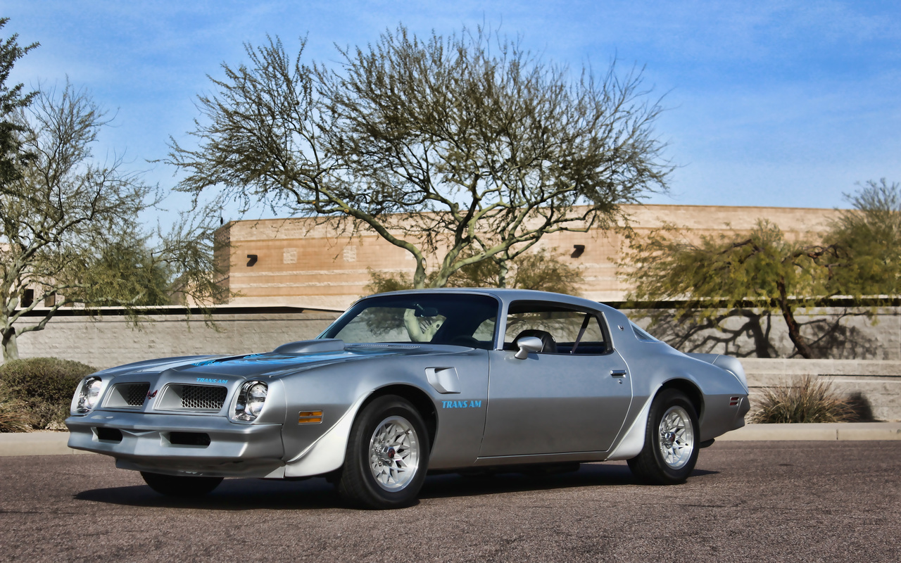 pontiac firebird, retro cars, 1976 cars, muscle cars, f-w87, 1976 pontiac firebird, american cars, pontia