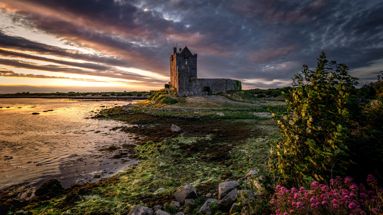 ,  , , dunguaire, castle, galway bay, , 