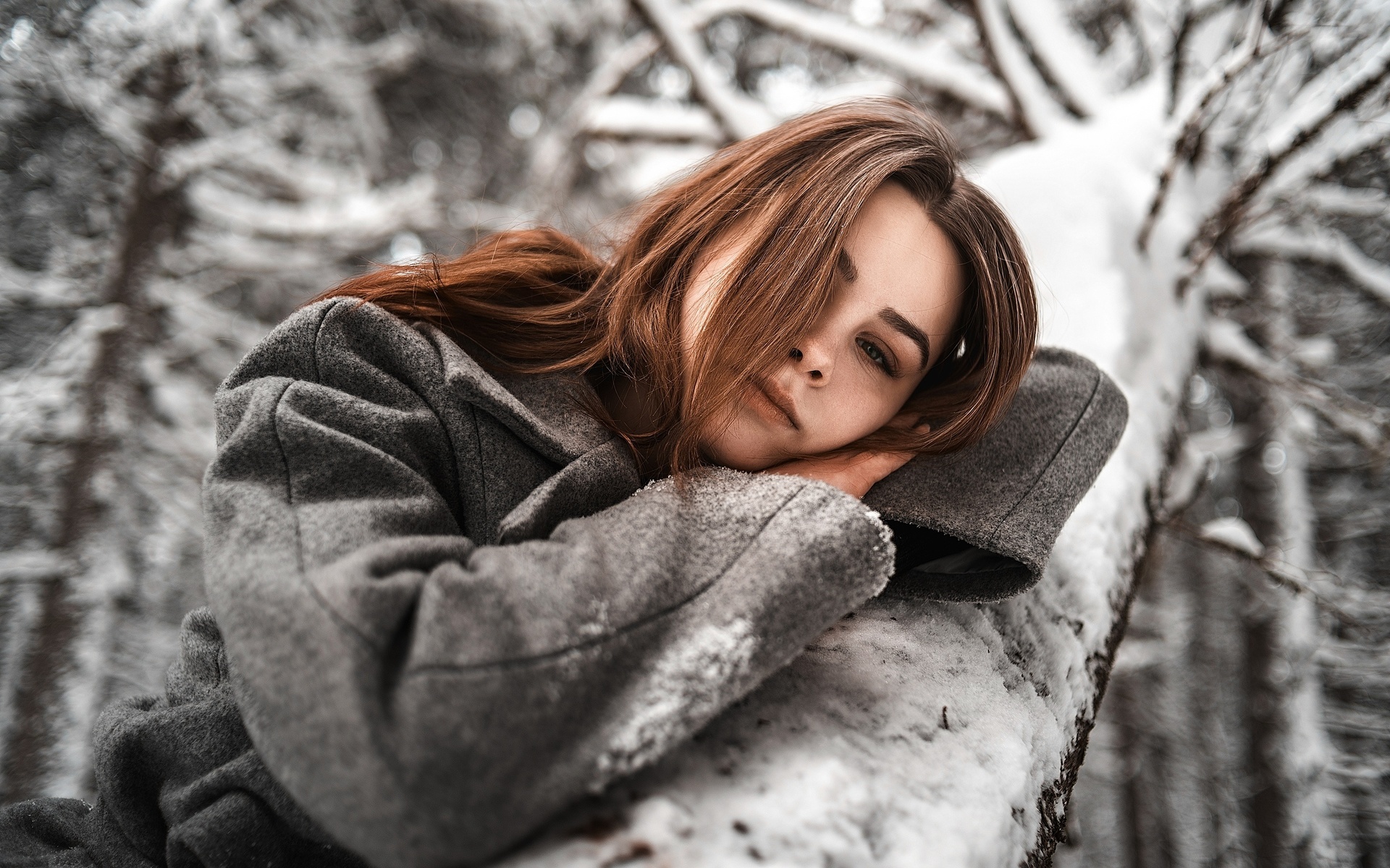 women, portrait, hair in face, coats, trees, snow, winter, women outdoors