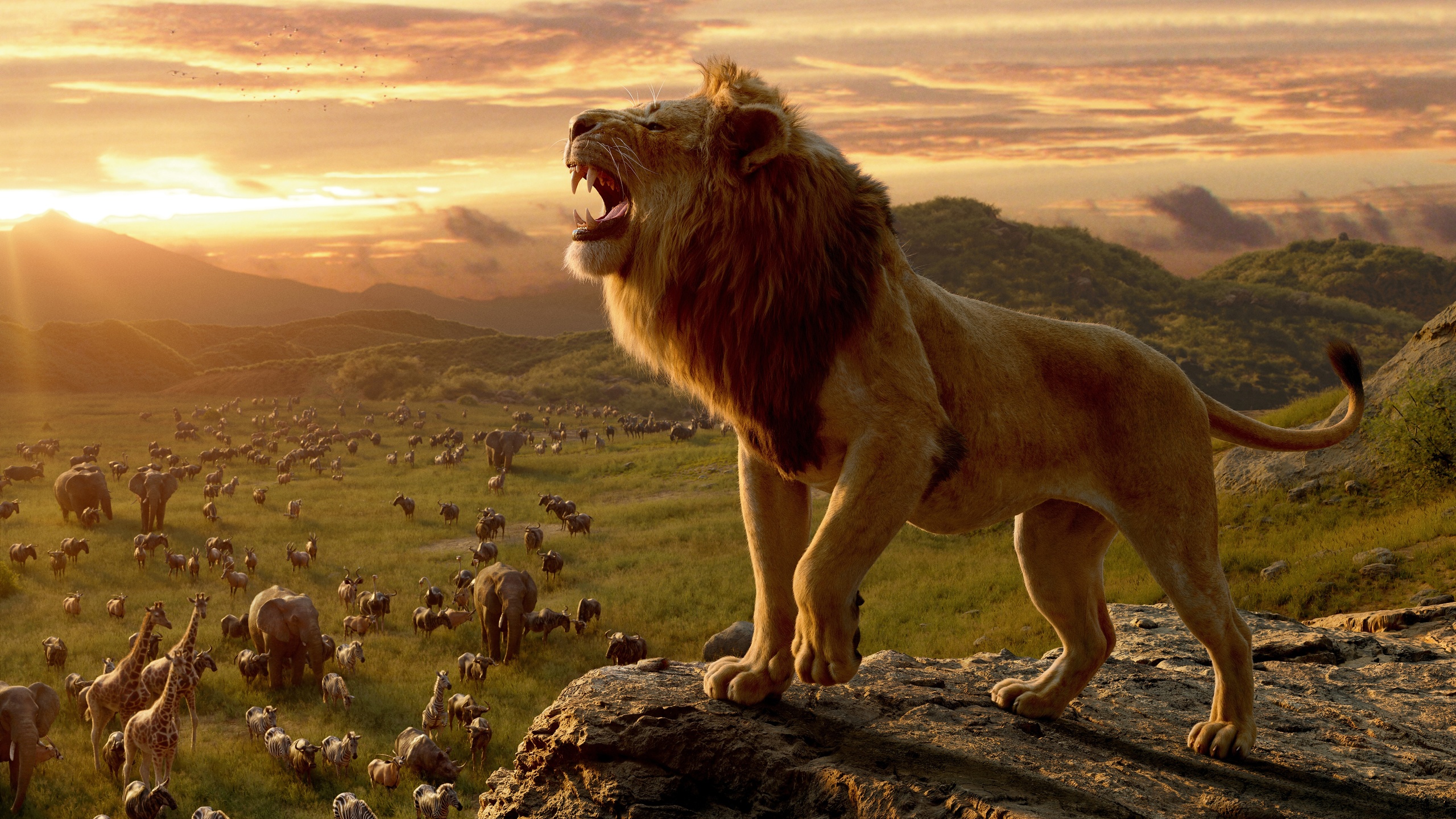 , , , , ,  , film, the lion king, 
