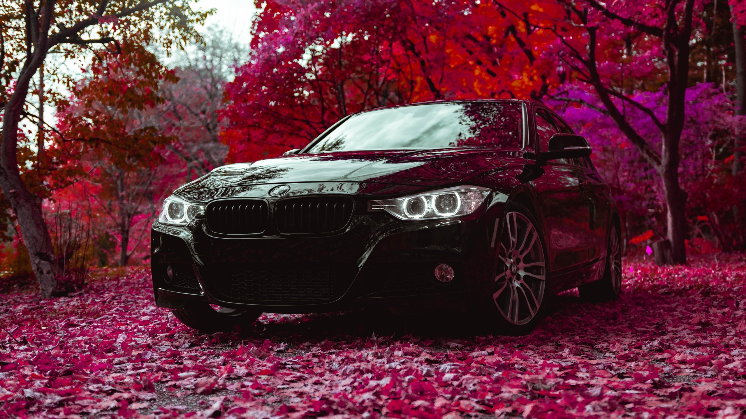 bmw, f30, 335i