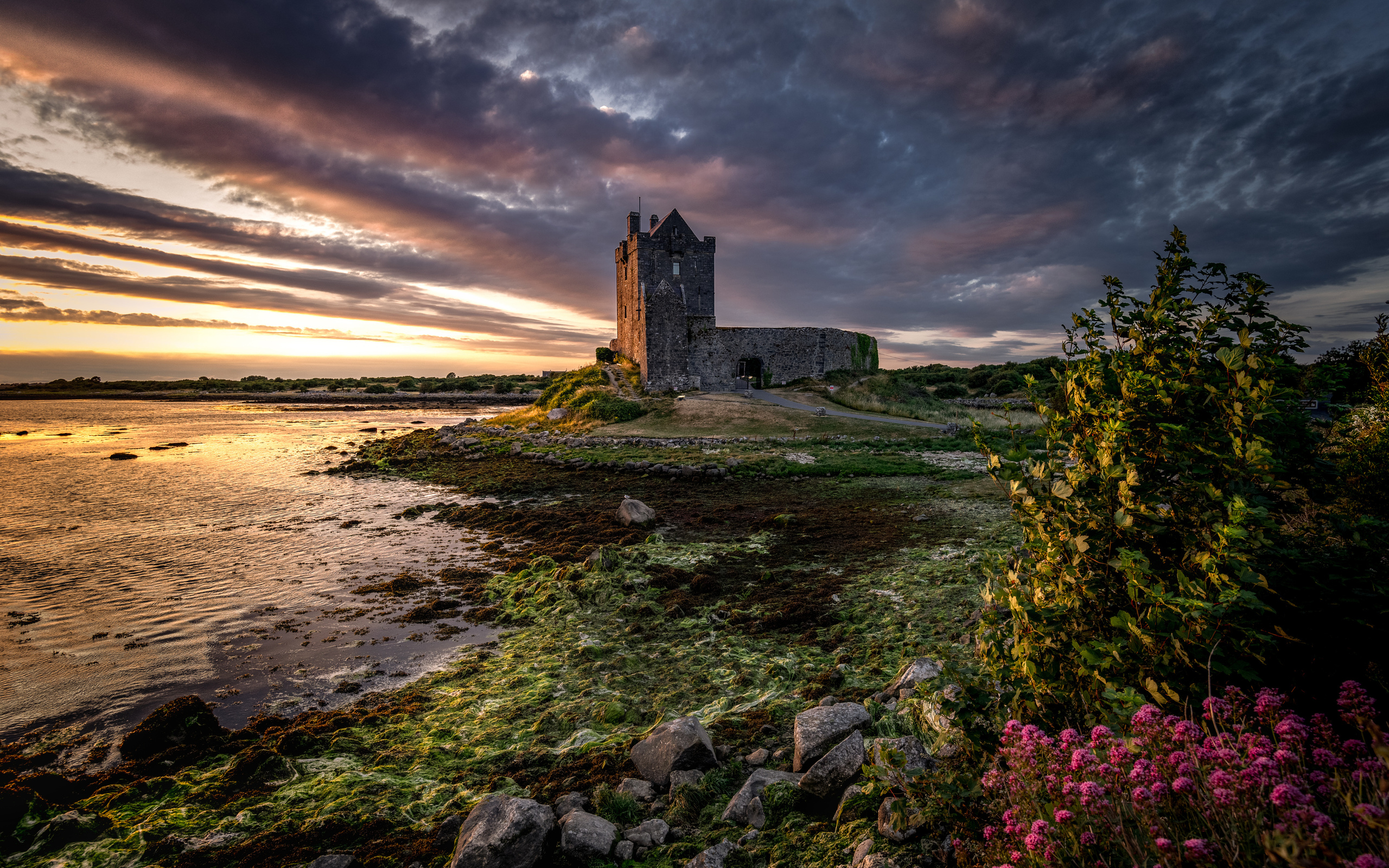 ,  , , dunguaire, castle, galway bay, , 