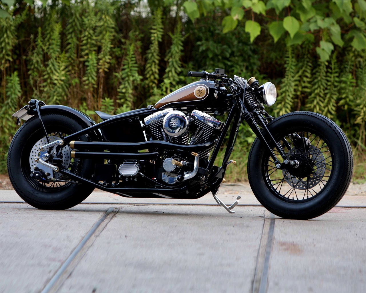 bike, harley-davidson, custom, bobber, ,