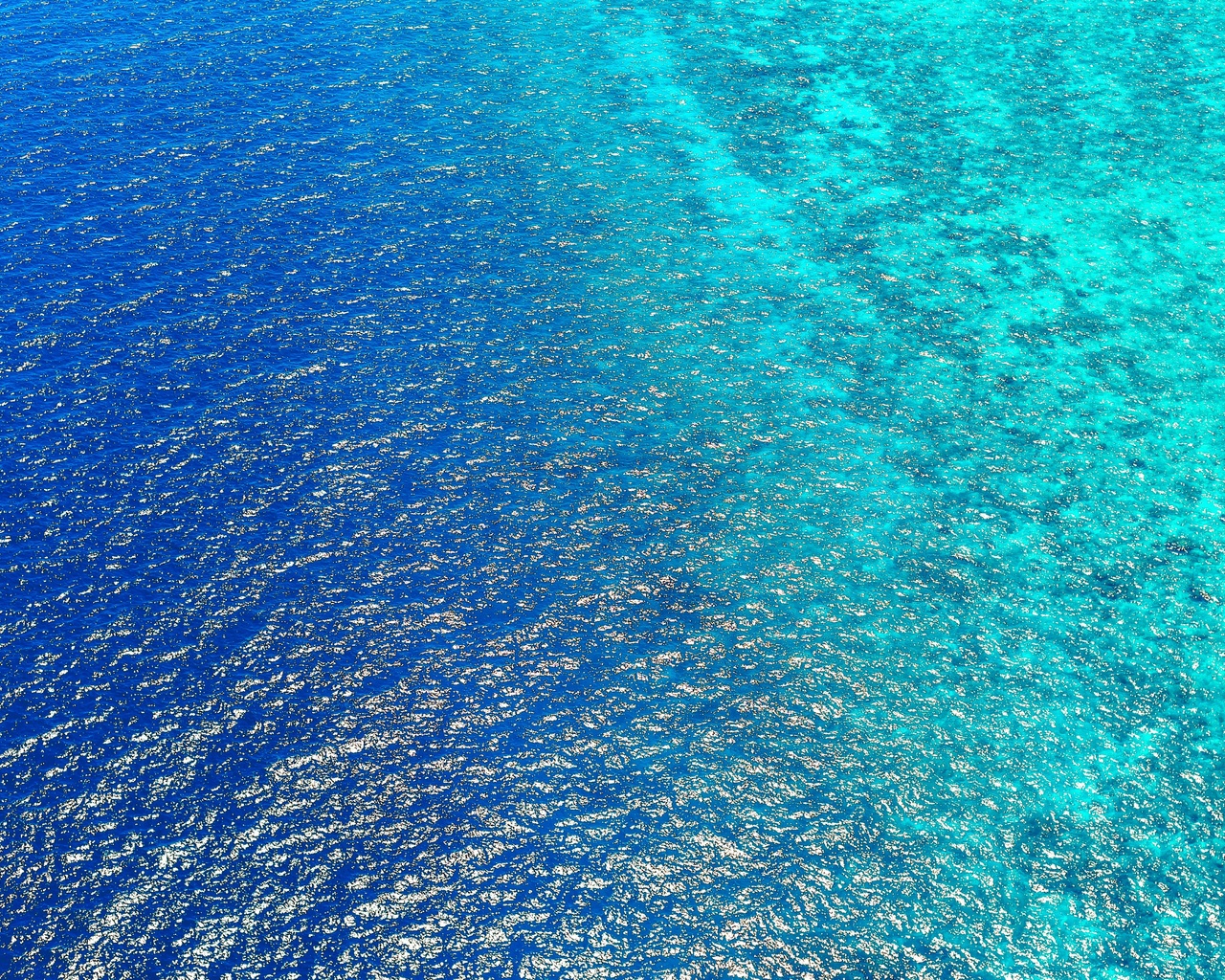 birds view, sea