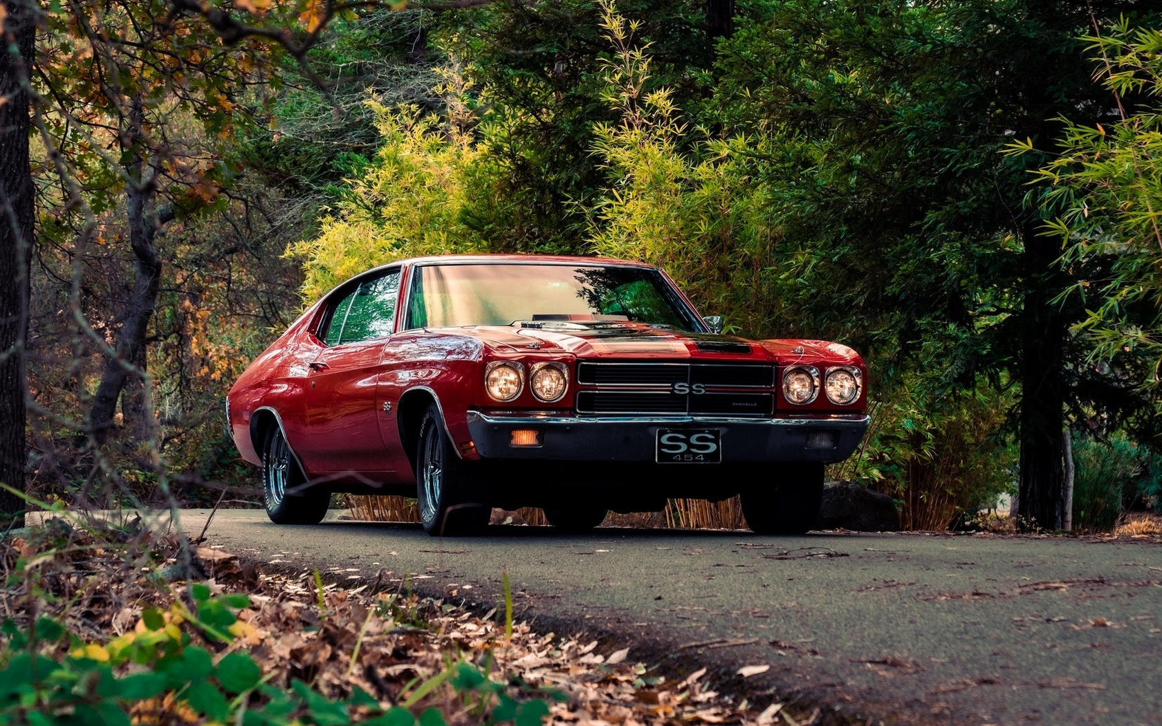 chevrolet, chevelle