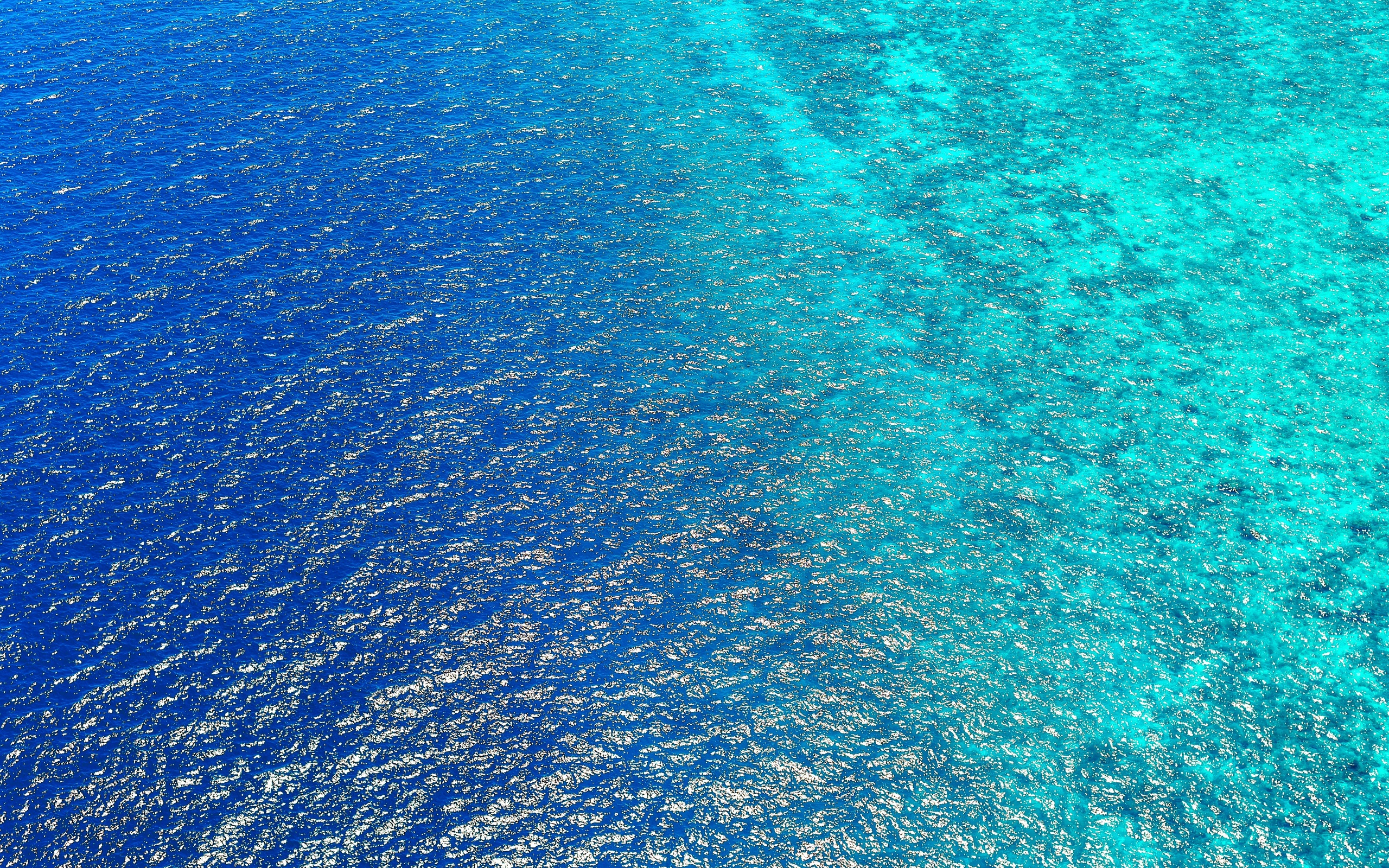 birds view, sea