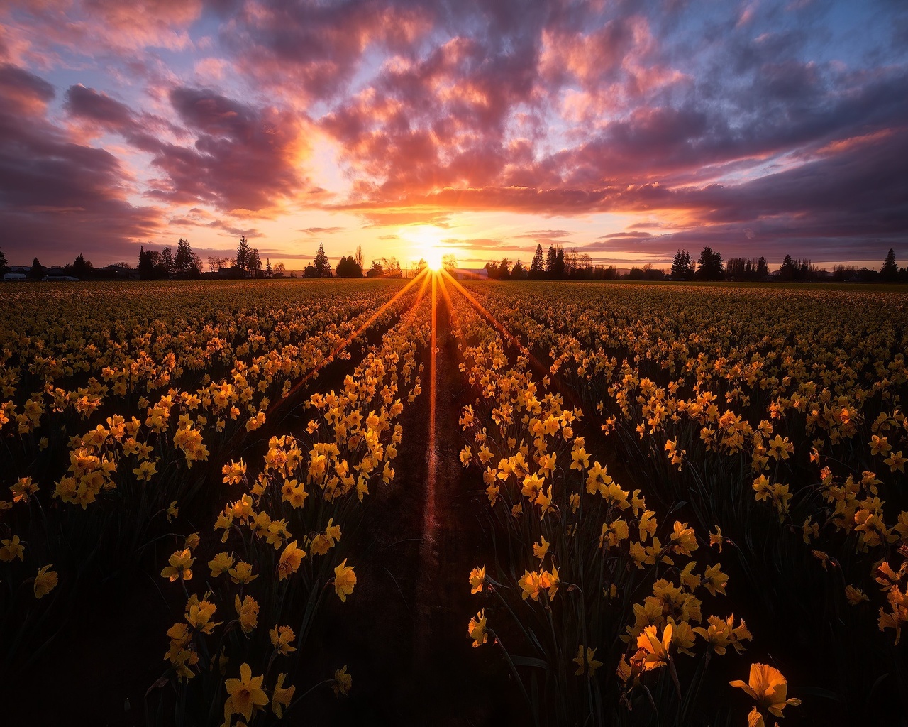 , , , , , , , , , , skagit valley, ,  