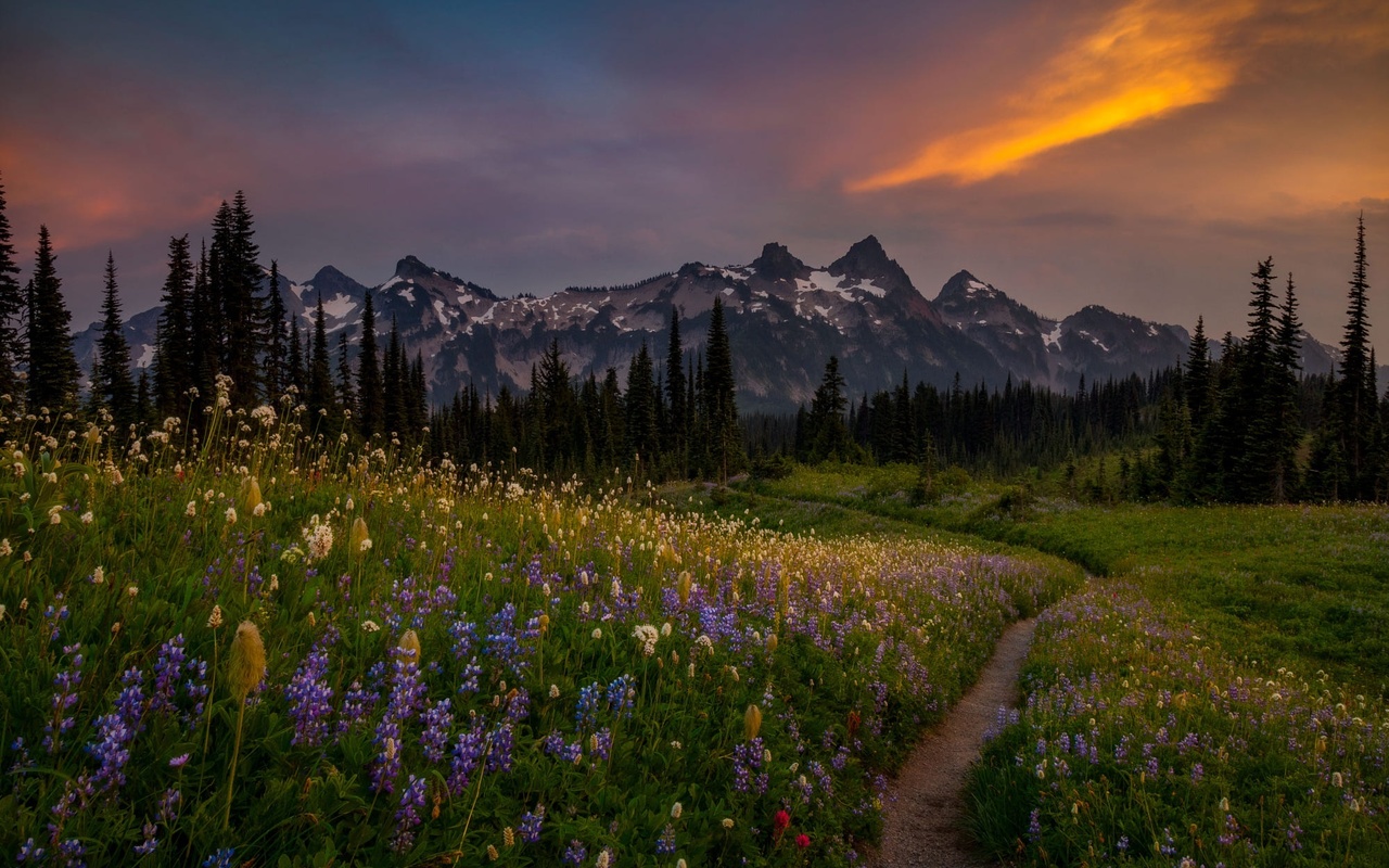 , , , , , , , , , , , , , mount rainier, -, doug shearer