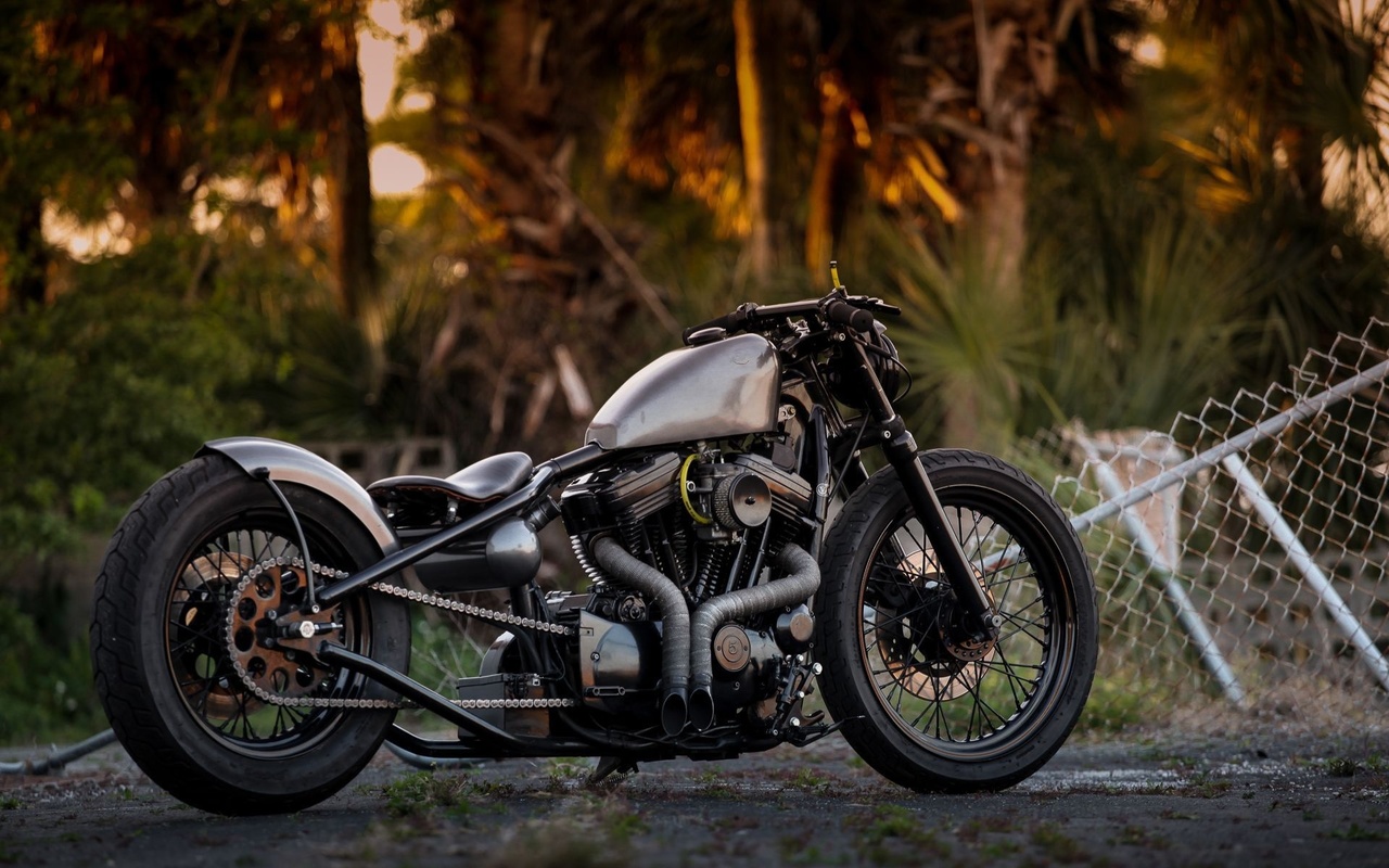 harley davidson, custom, thunderbike