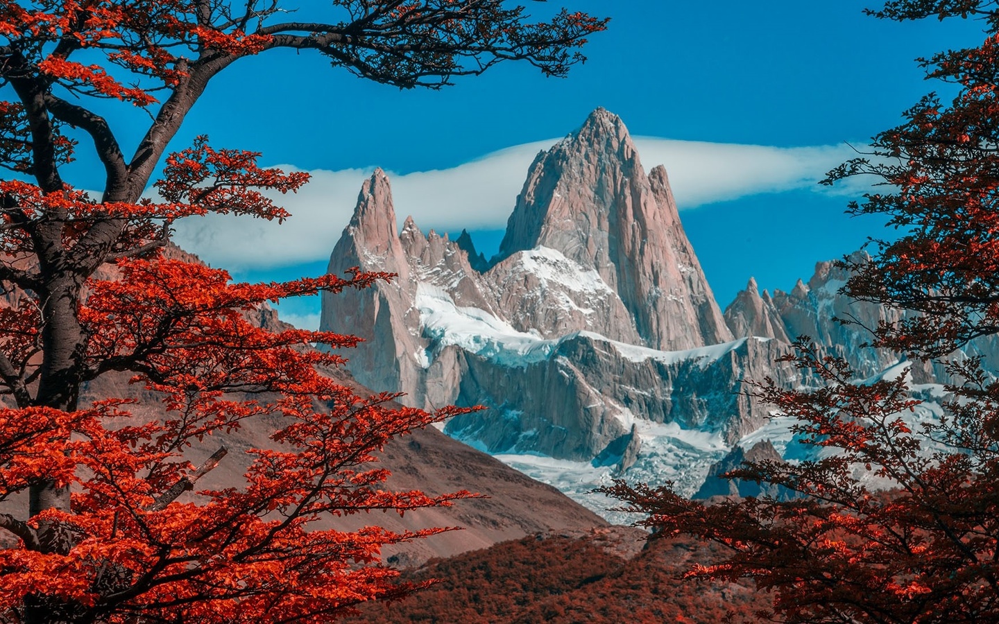 , , monte fitz roy, patagonia, argentina