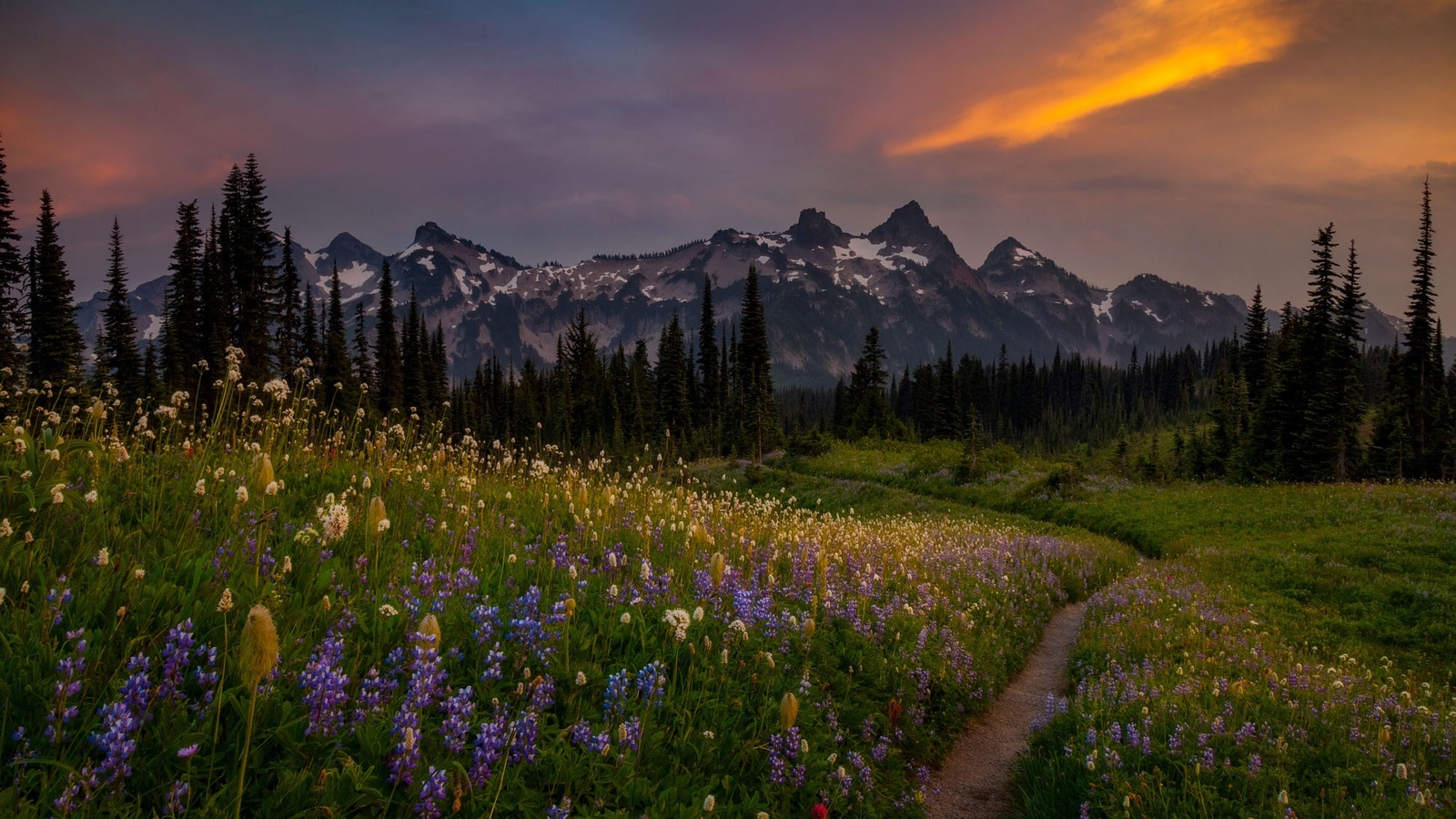 , , , , , , , , , , , , , mount rainier, -, doug shearer