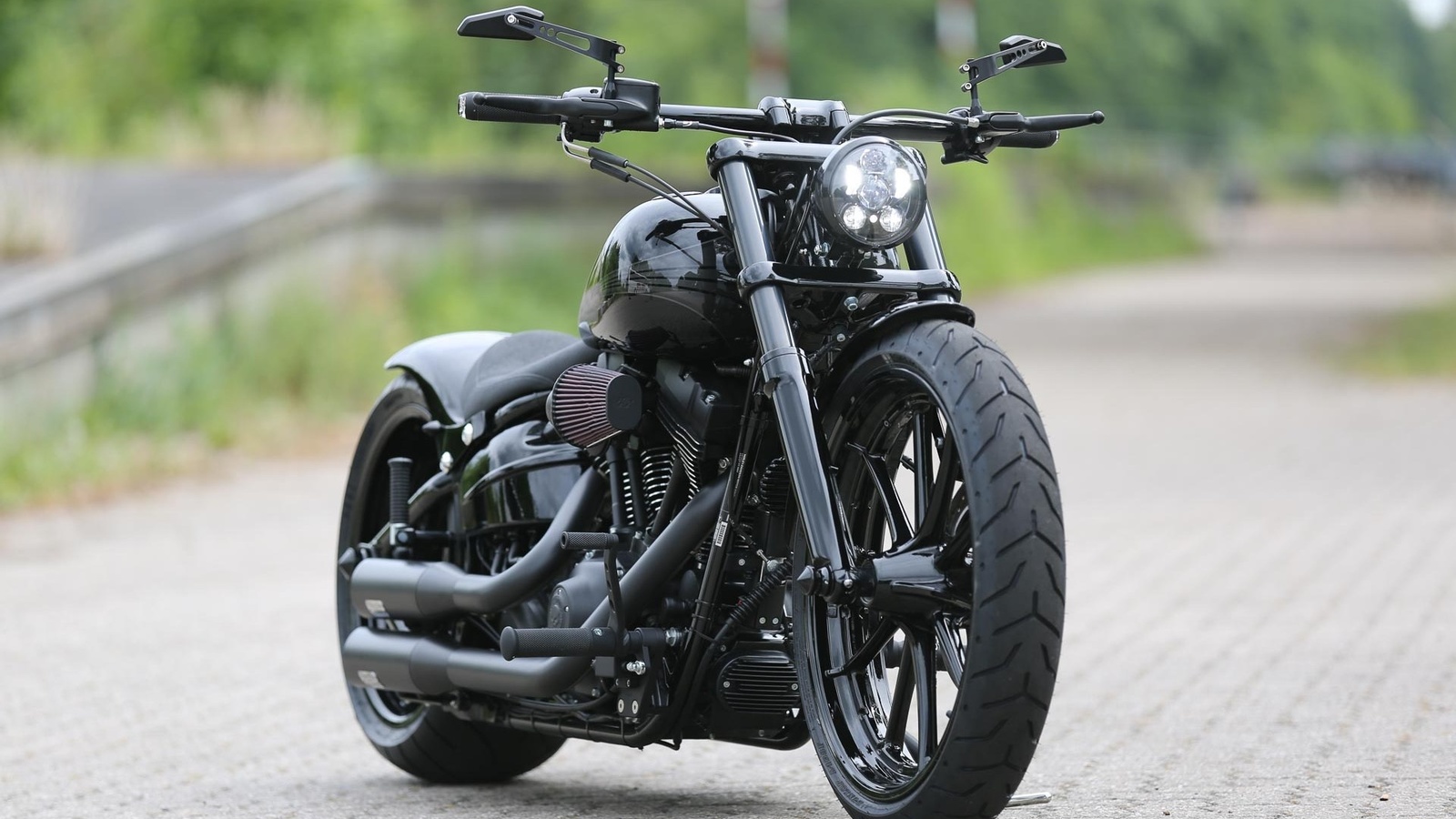 harley davidson, custom, thunderbike