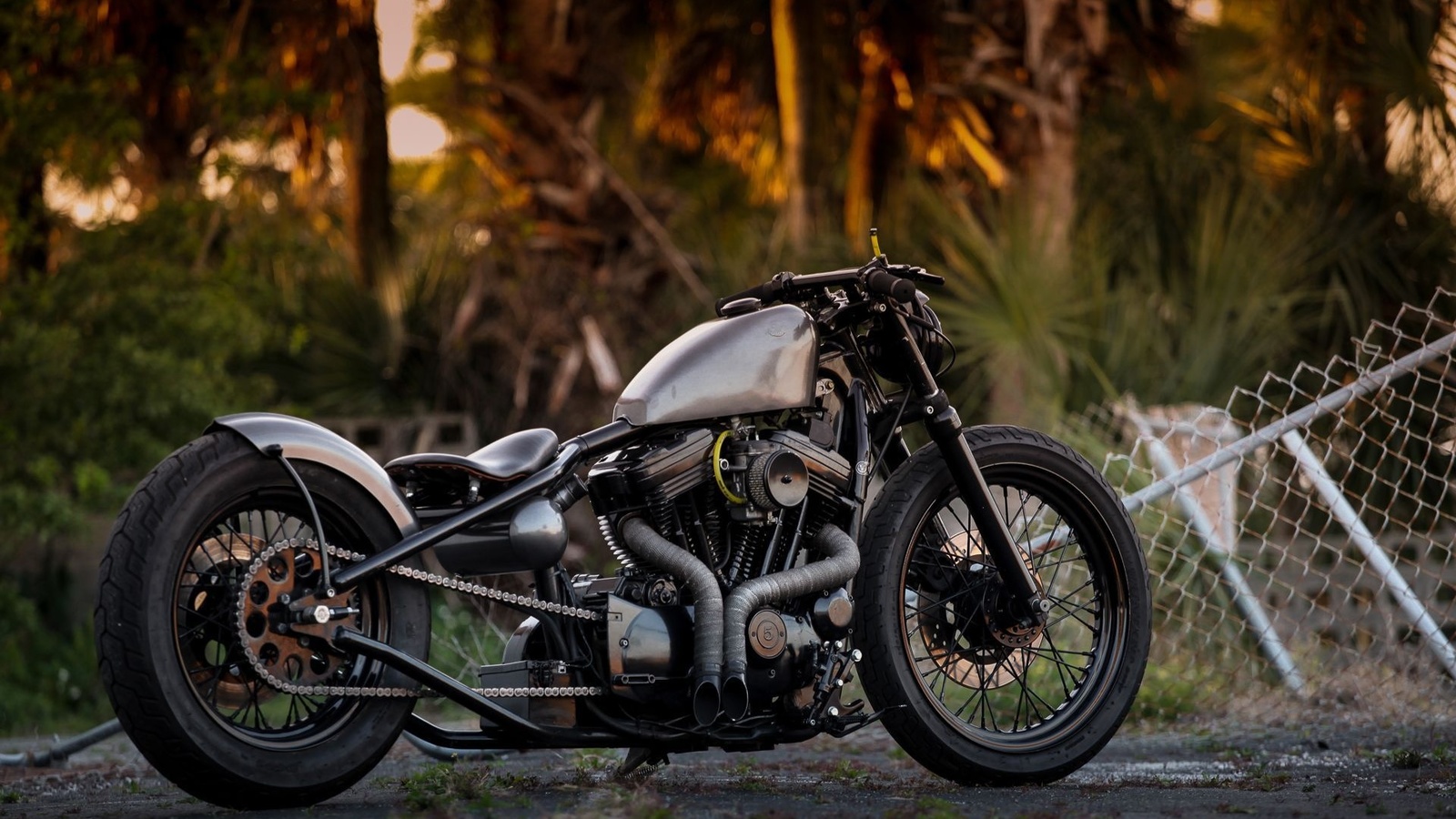 harley davidson, custom, thunderbike