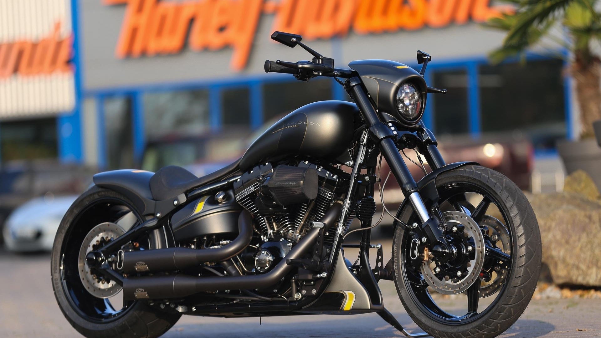 harley davidson, custom, thunderbike