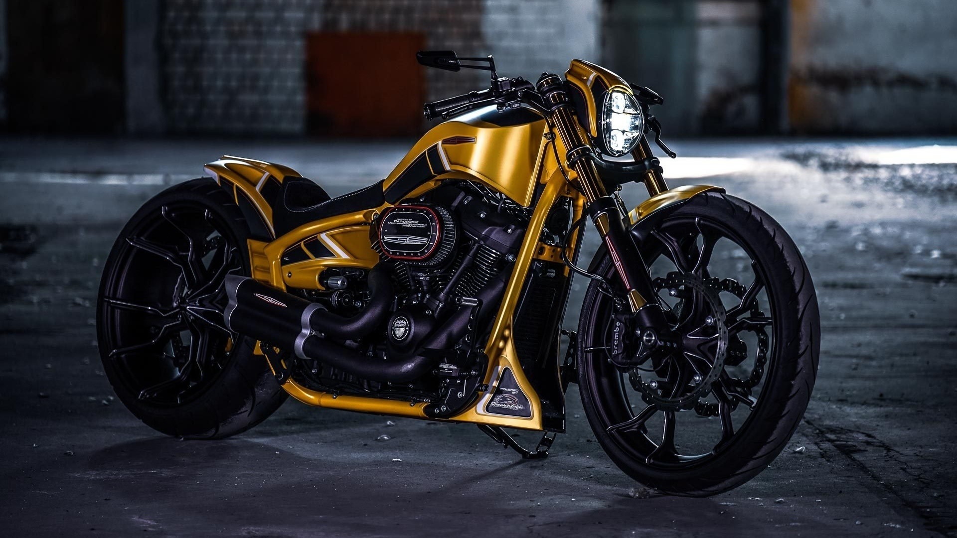 harley davidson, custom, thunderbike