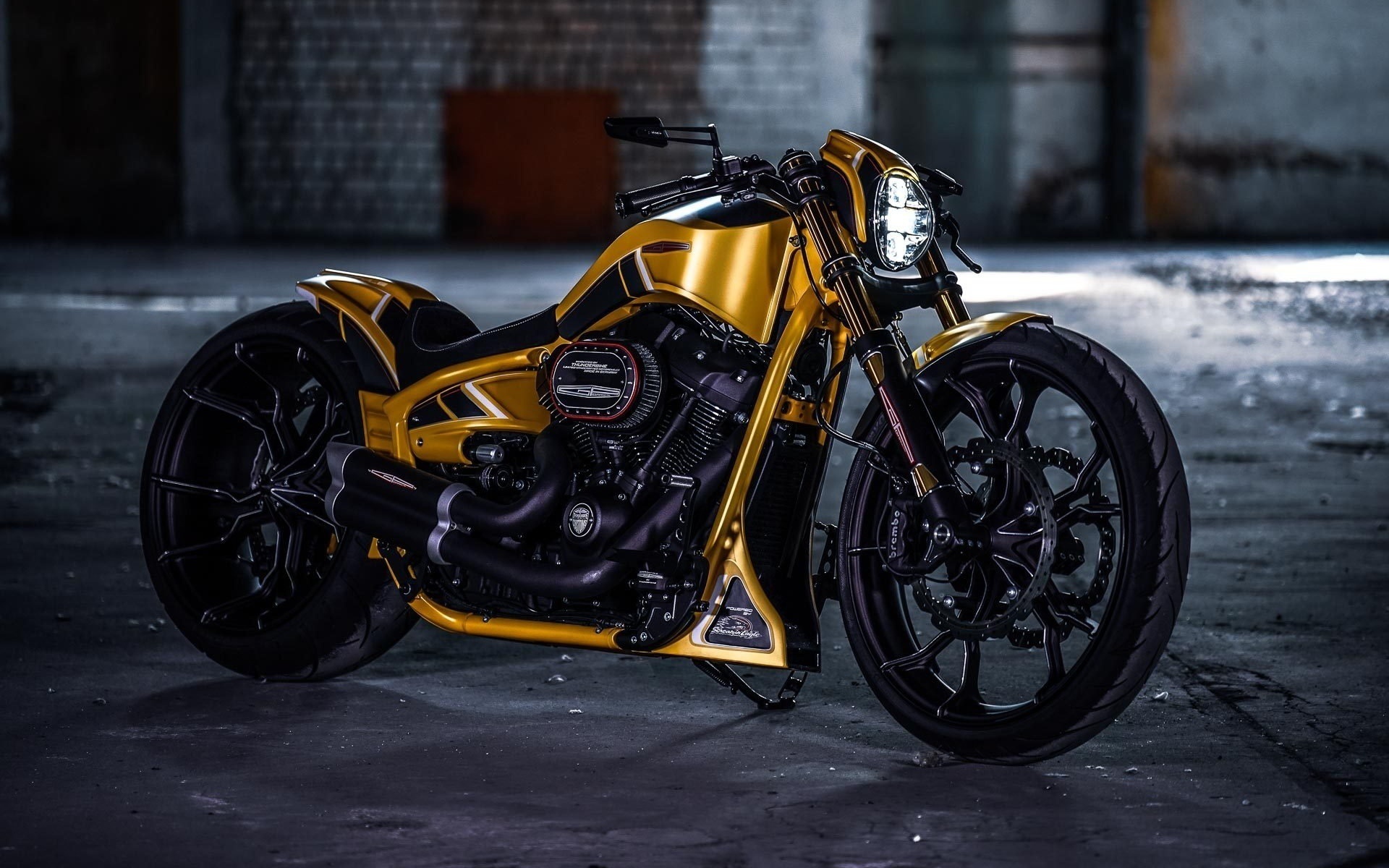 harley davidson, custom, thunderbike