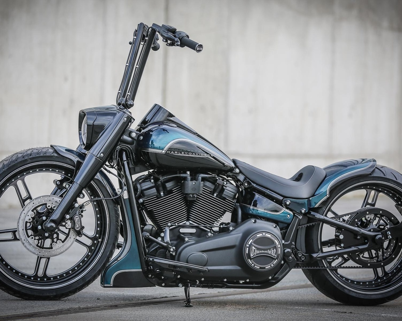 harley davidson, custom, thunderbike