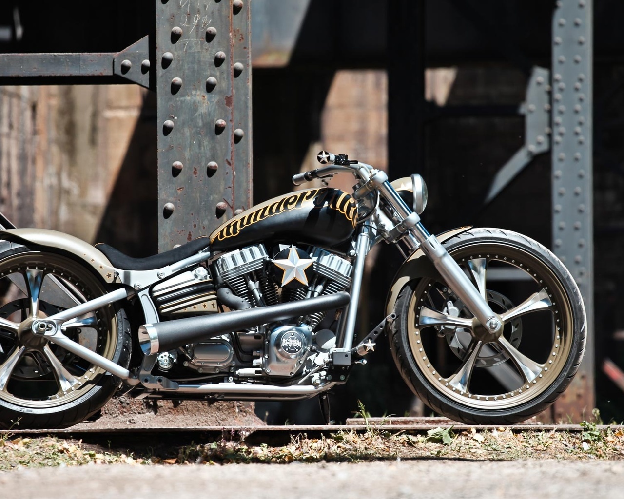 harley davidson, custom, thunderbike