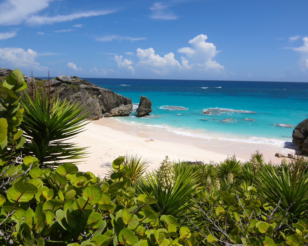 , , , , south shore park, bermuda, , 