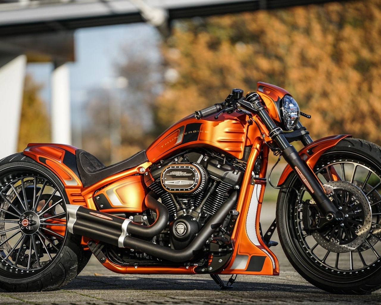 harley davidson, custom, thunderbike