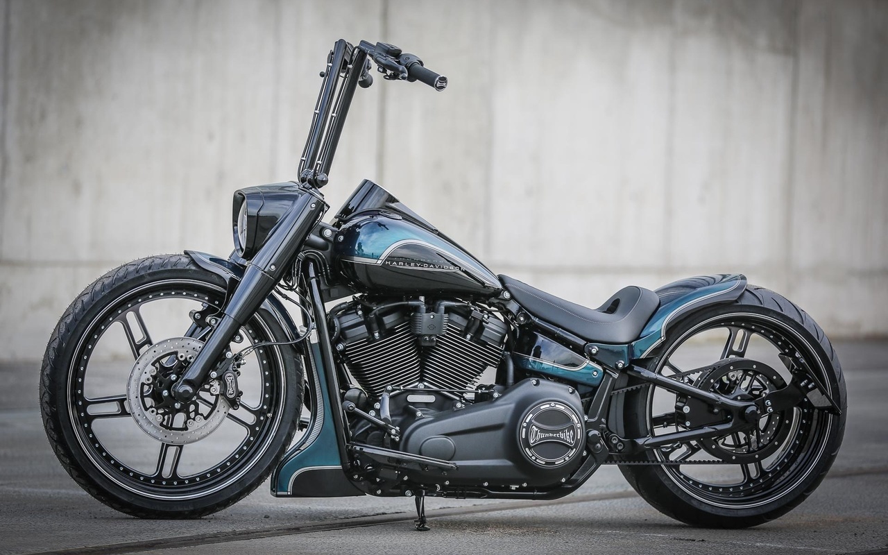 harley davidson, custom, thunderbike