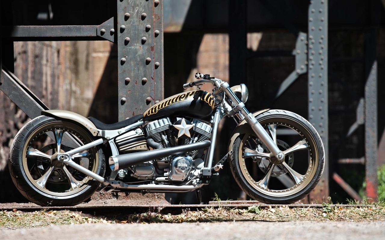 harley davidson, custom, thunderbike