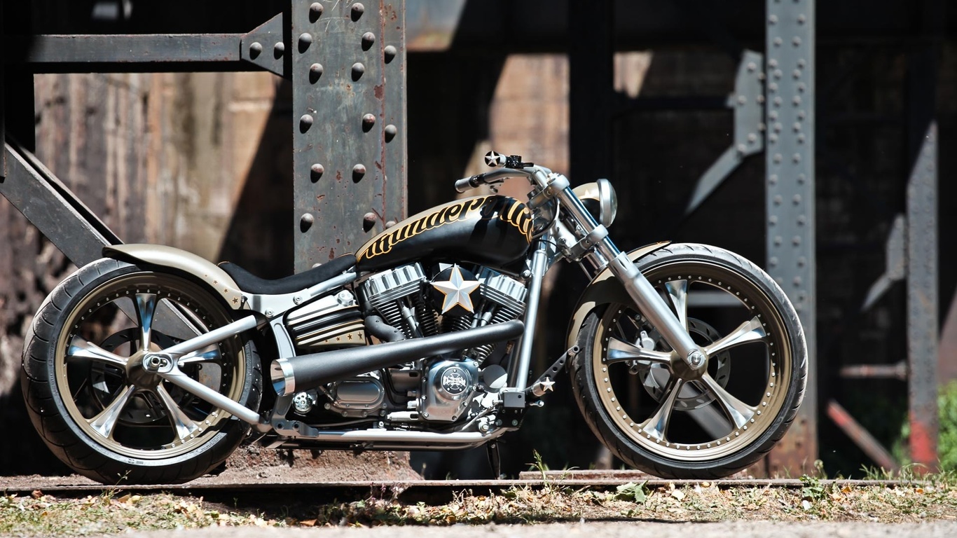 harley davidson, custom, thunderbike