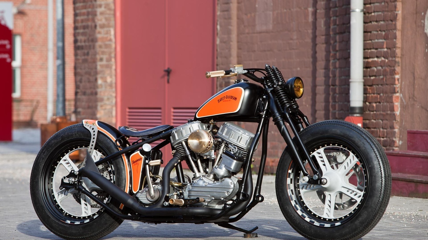 harley davidson, custom, thunderbike