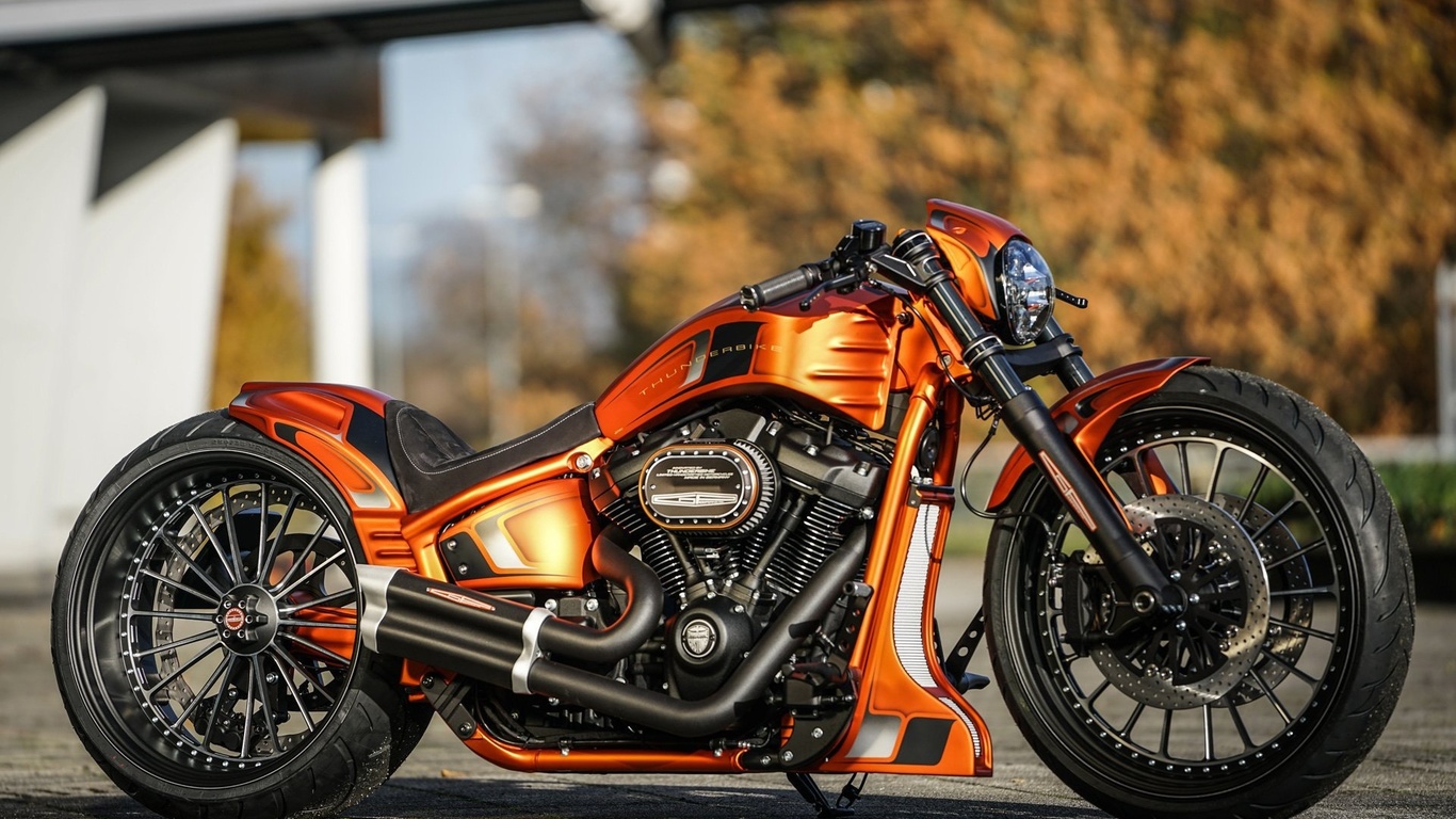 harley davidson, custom, thunderbike