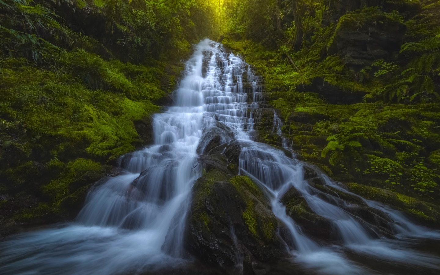 waterfall, rocks, forest, green trees, waterfall, mountains, washington state