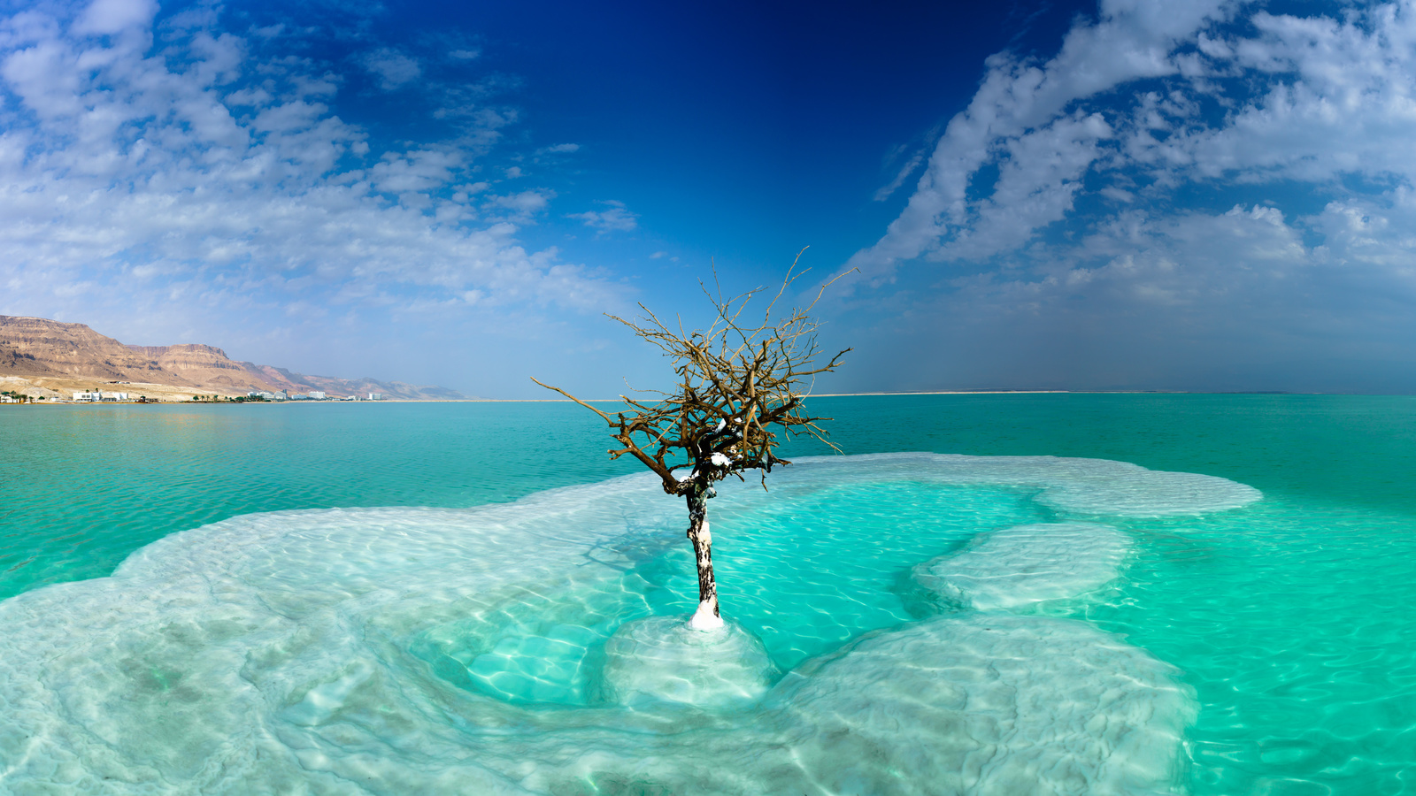 , , , dead sea, neve zohar, , , 