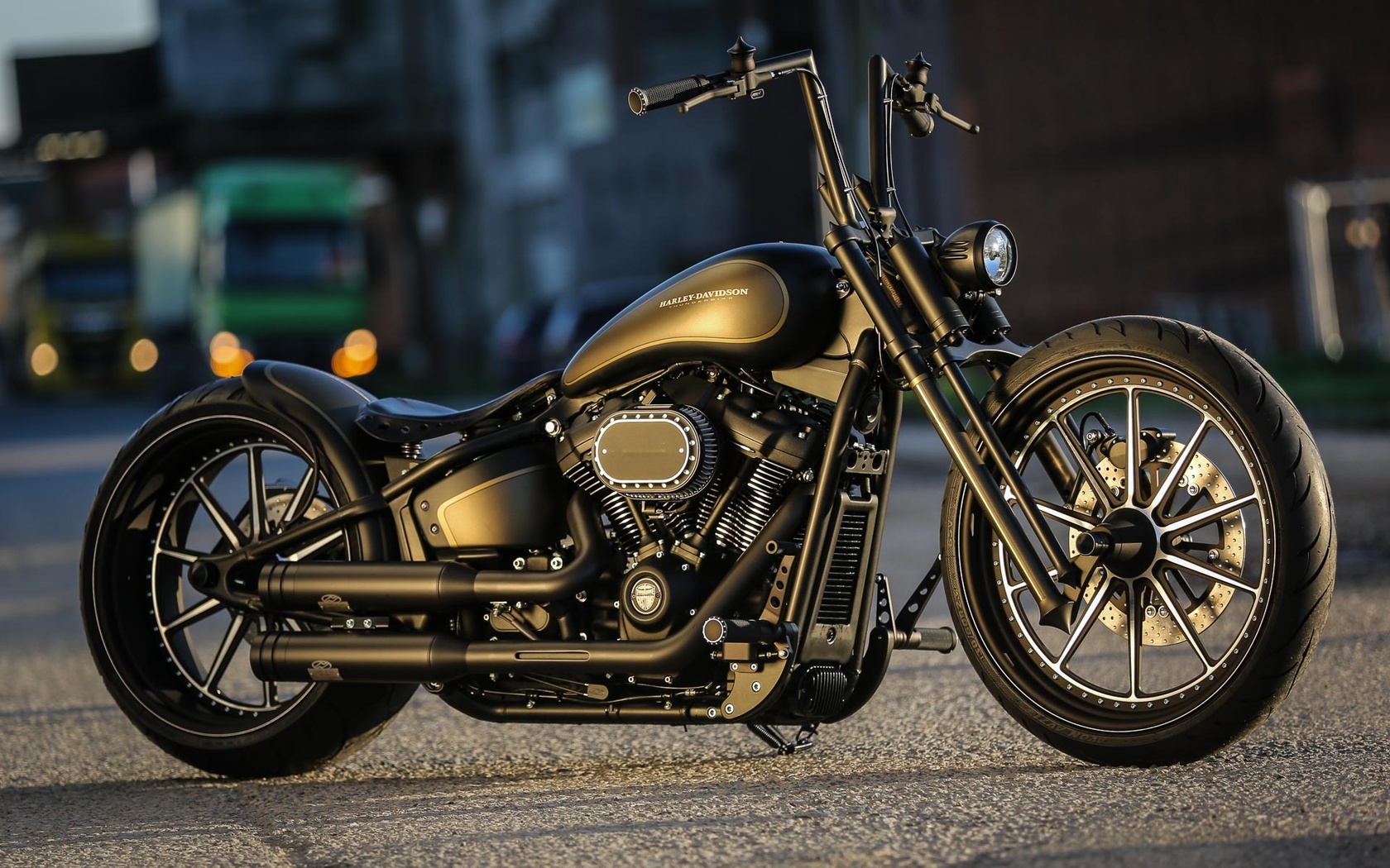 harley davidson, custom, thunderbike