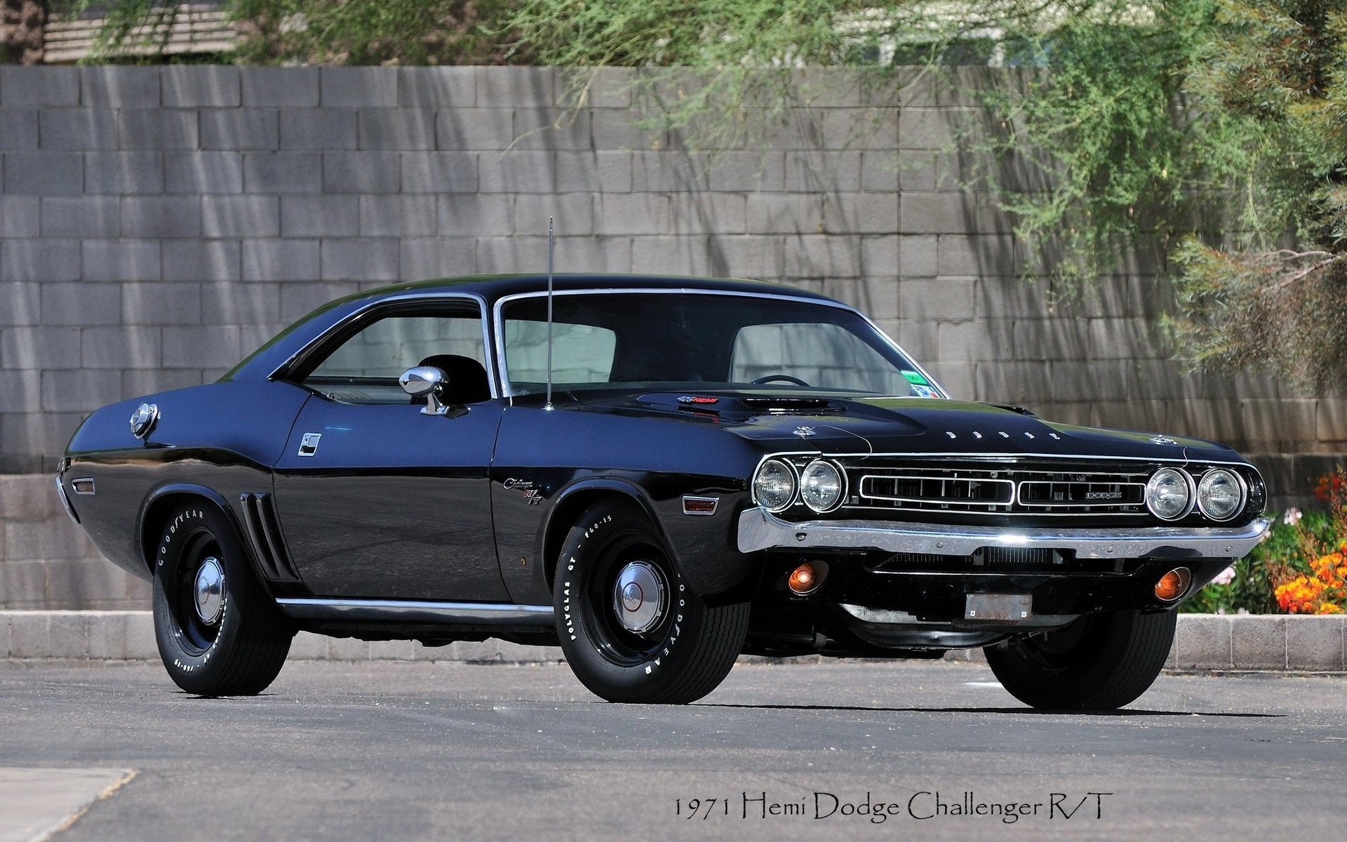 dodge, challenger, 1971