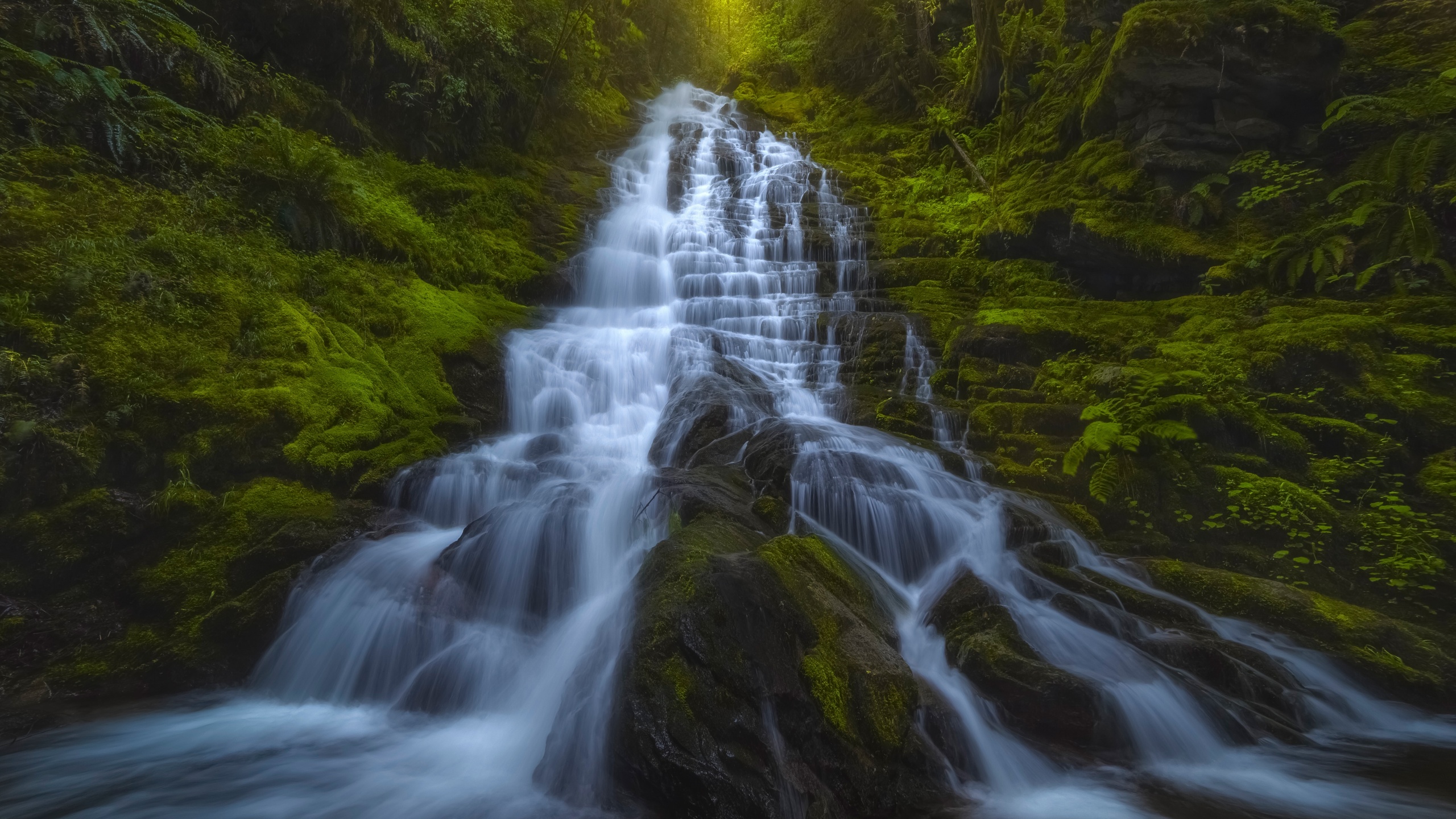 waterfall, rocks, forest, green trees, waterfall, mountains, washington state