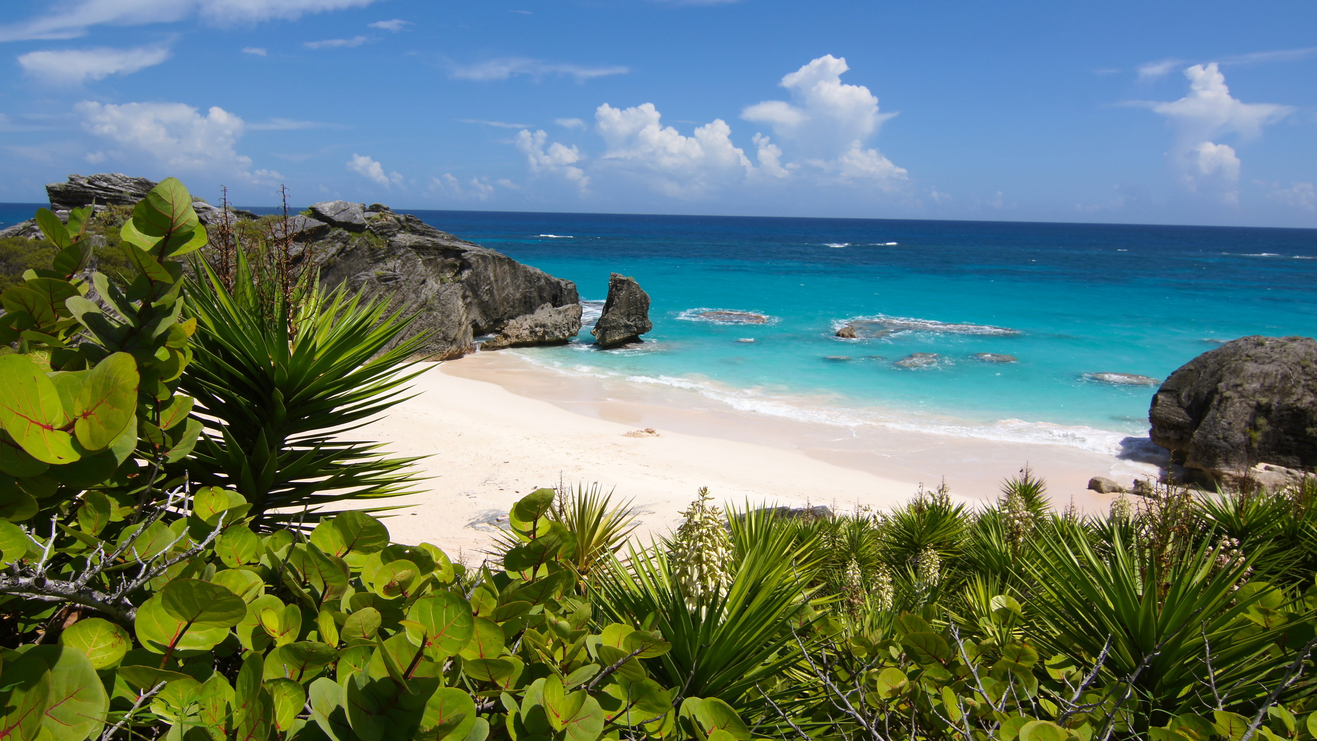 , , , , south shore park, bermuda, , 