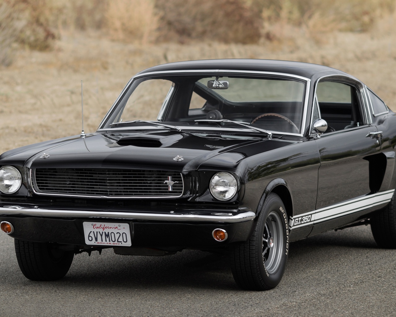 ford, mustang, gt350, 1966, 