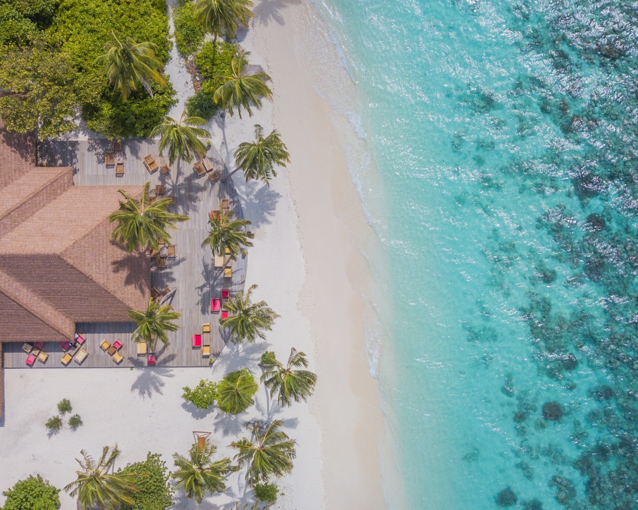 maldives, beach aerial view, ocean, palm trees, top view, tropical island