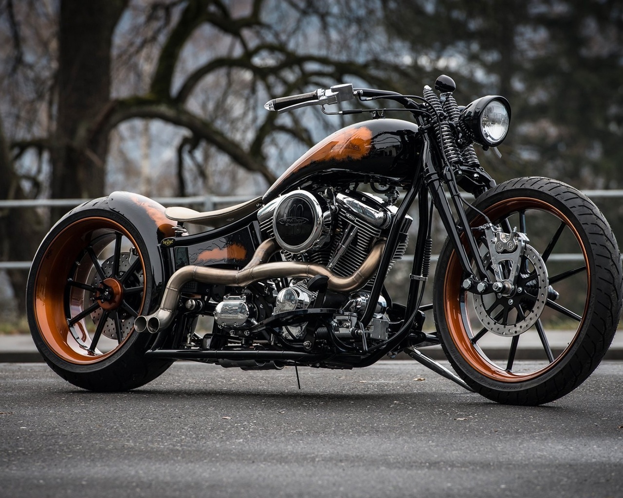 harley davidson, custom, thunderbike